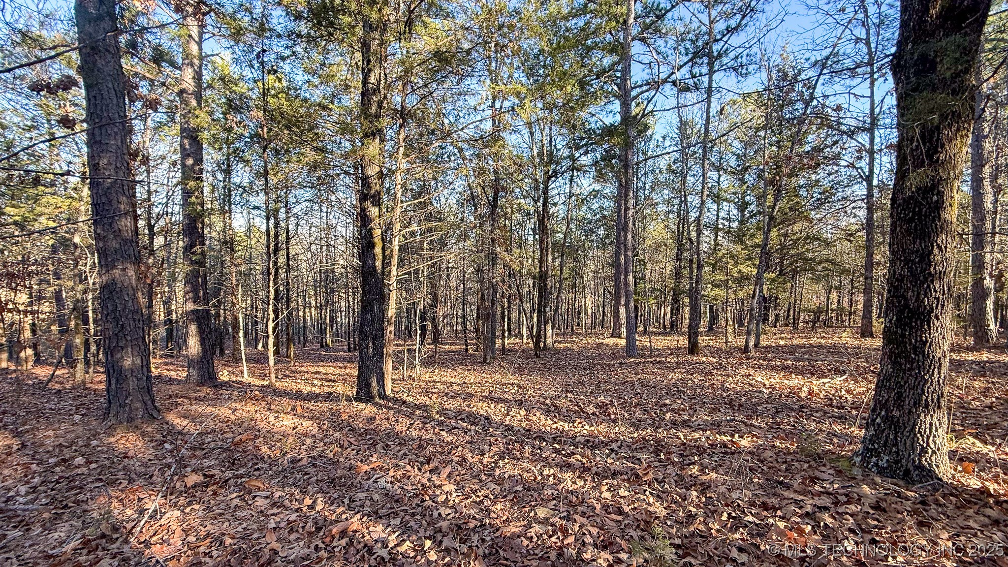 445188 E 1739 Road Property Photo 93
