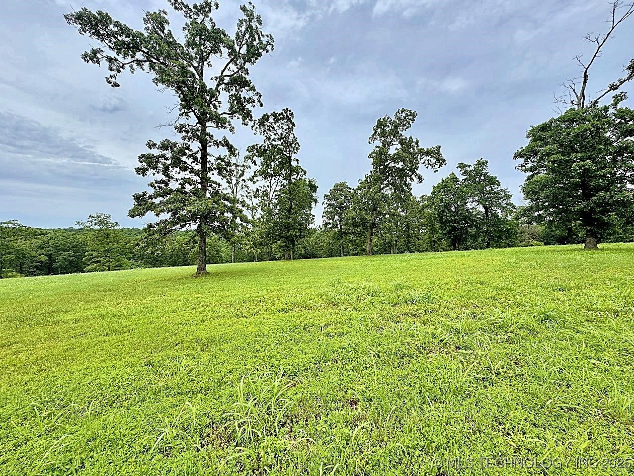810 Ridgeview Drive Property Photo 4