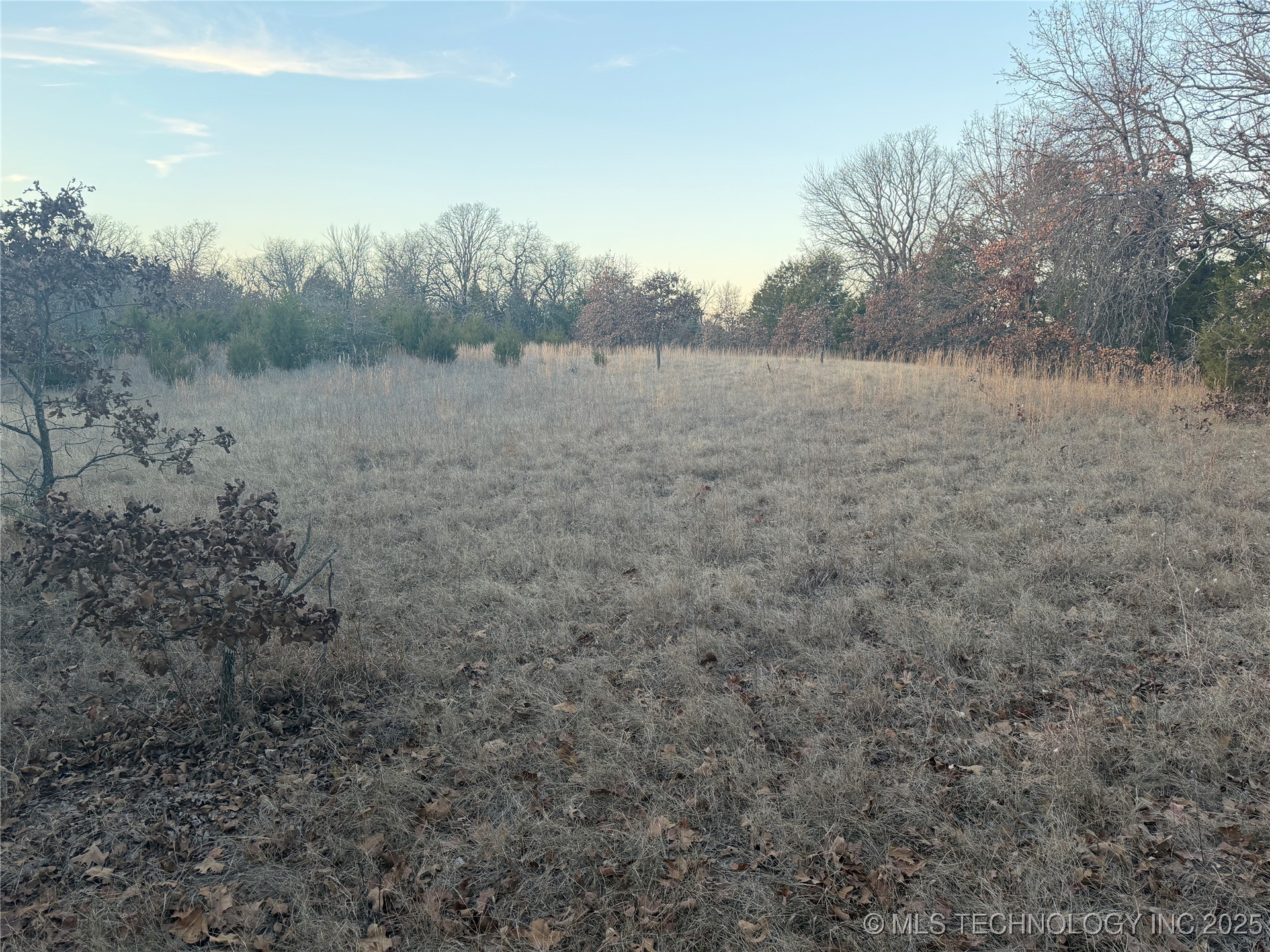 0001 County Road 1485 Property Photo 2