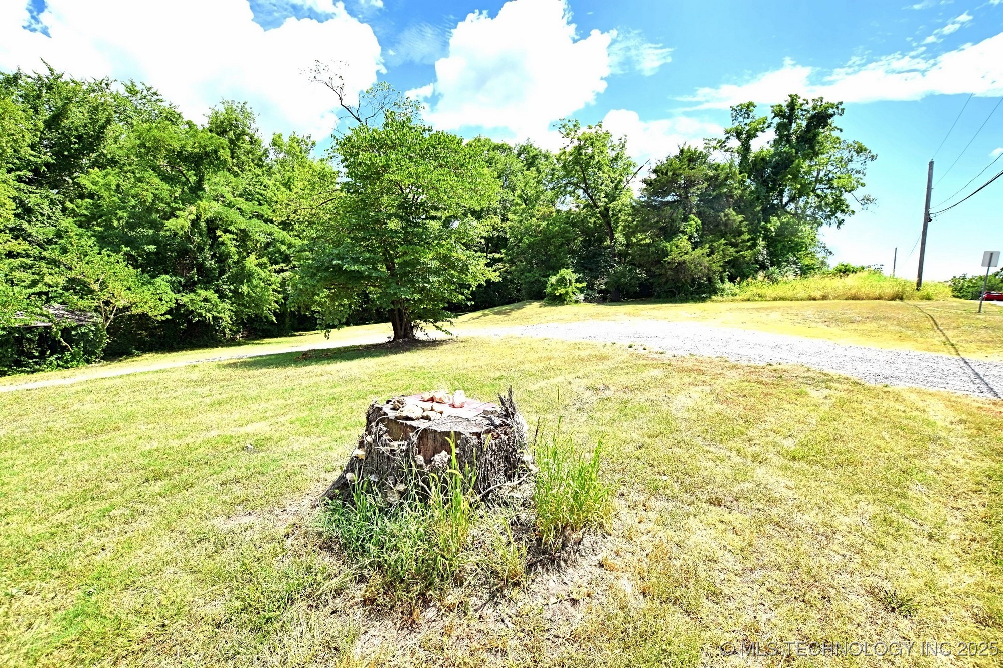 403 S Bluff Avenue Property Photo 1