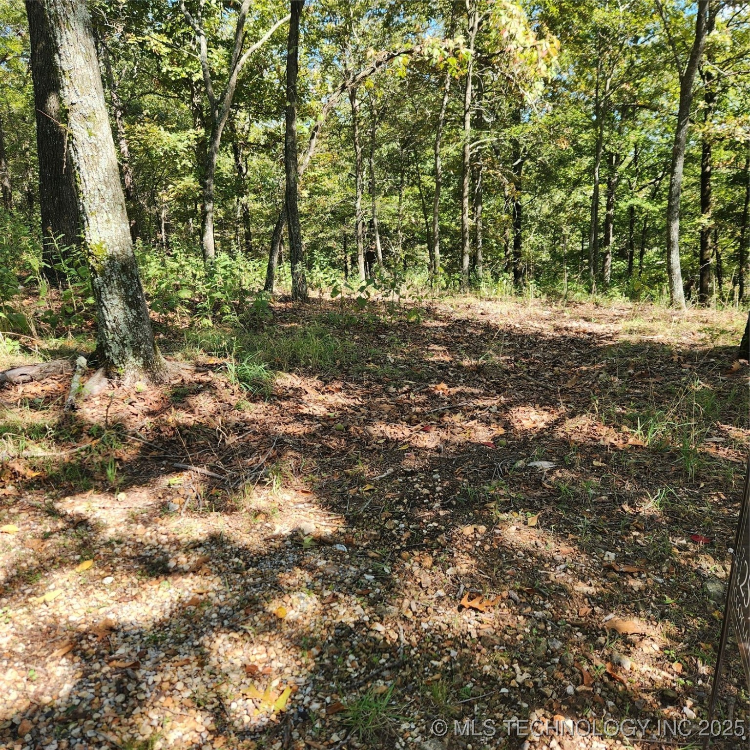 23174 Flint Ridge Drive Property Photo 8