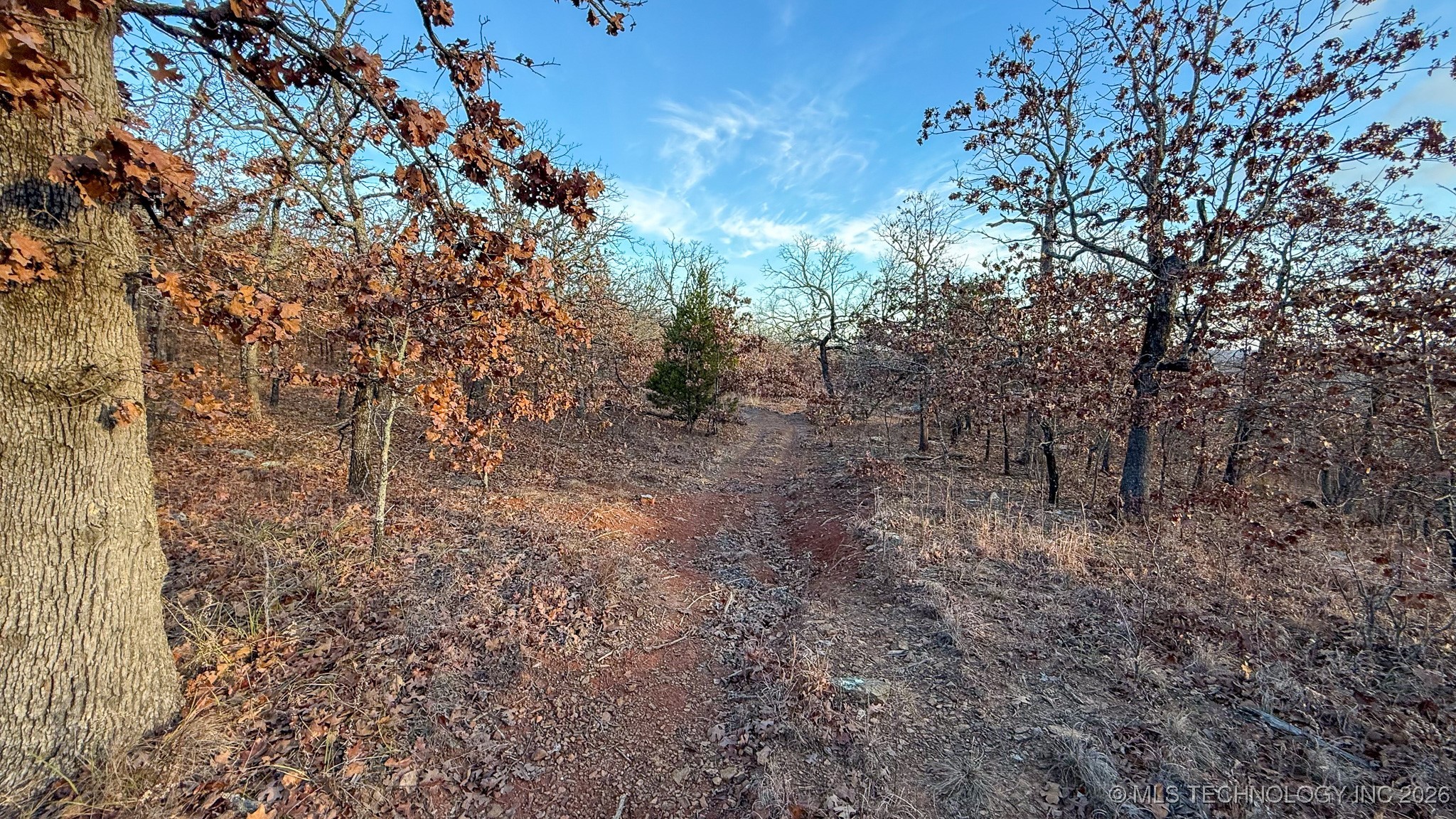 1100 Etchison Road Property Photo 63
