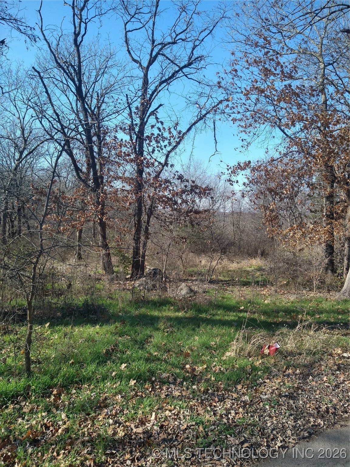 13122 S Red Bud Drive S Property Photo 2