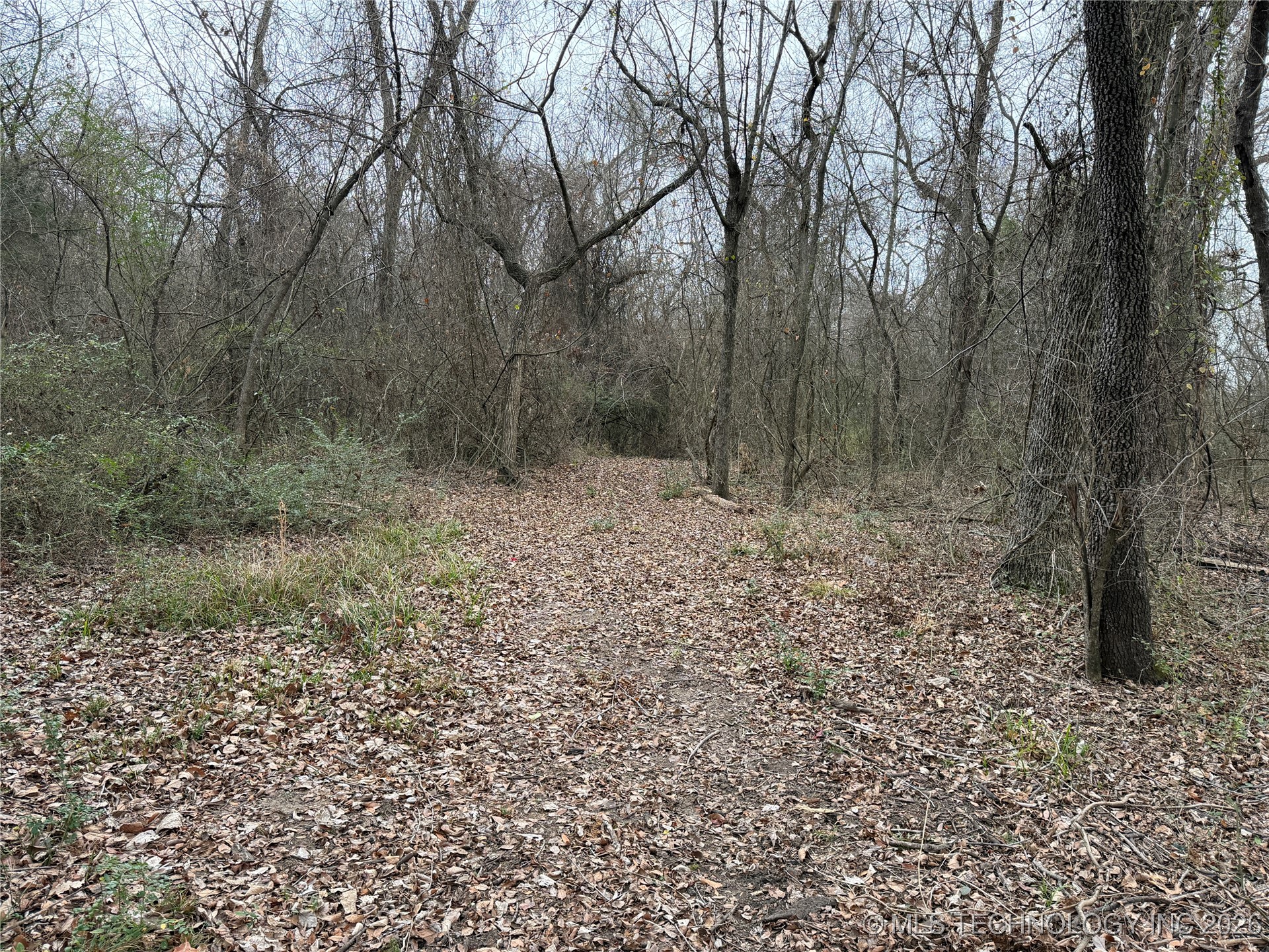 1489 Forest Lane Property Photo 31