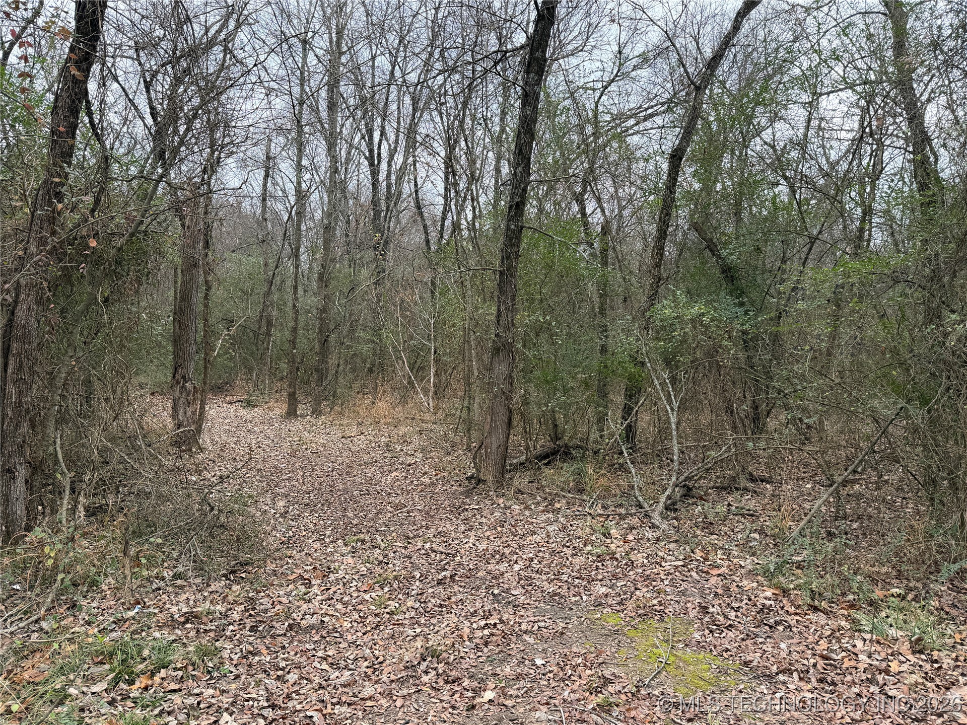1489 Forest Lane Property Photo 32
