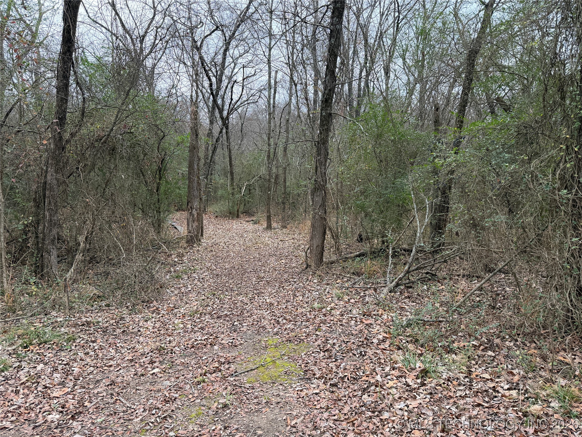 1489 Forest Lane Property Photo 33