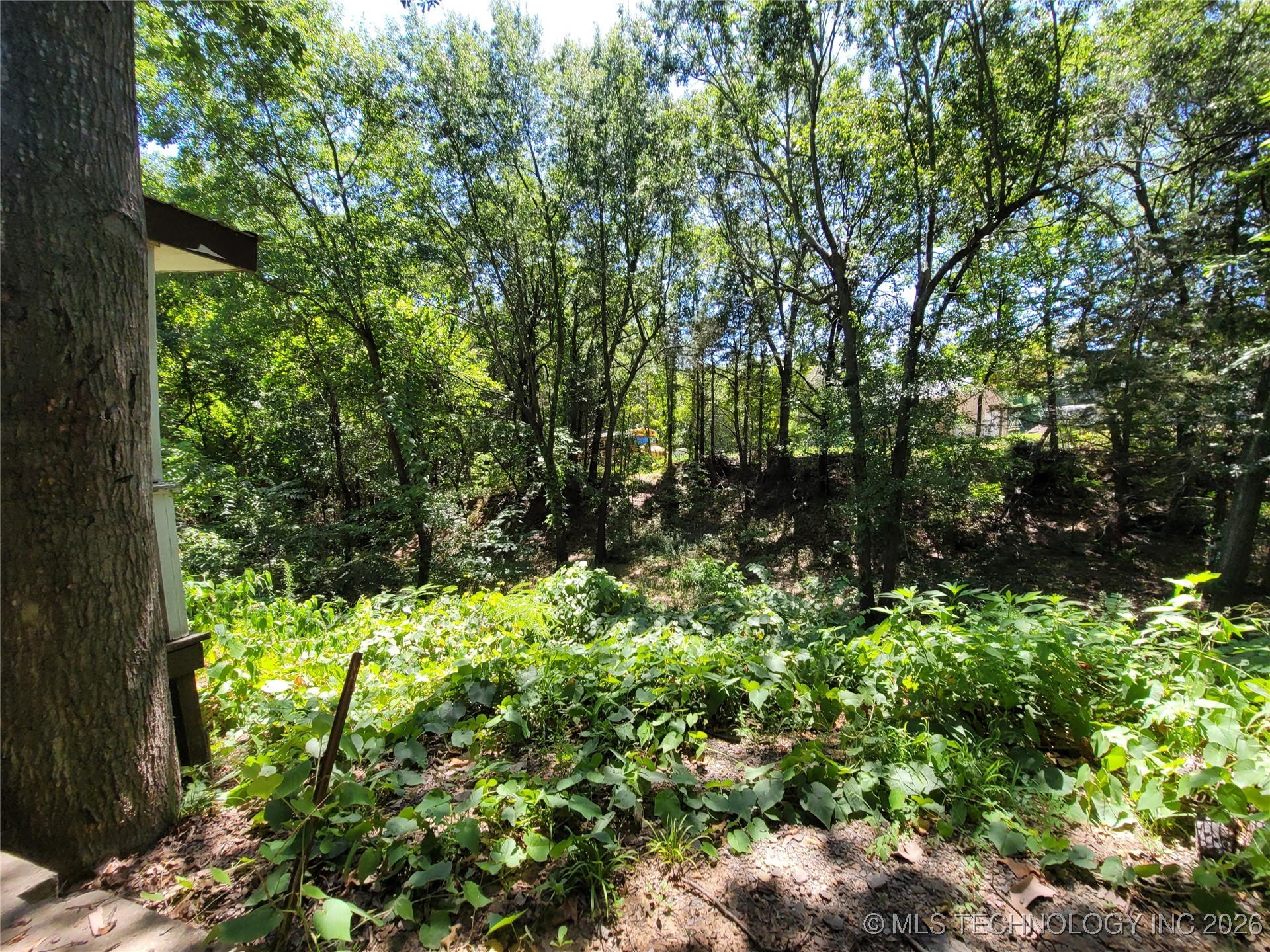 395 Bower Road Property Photo 15