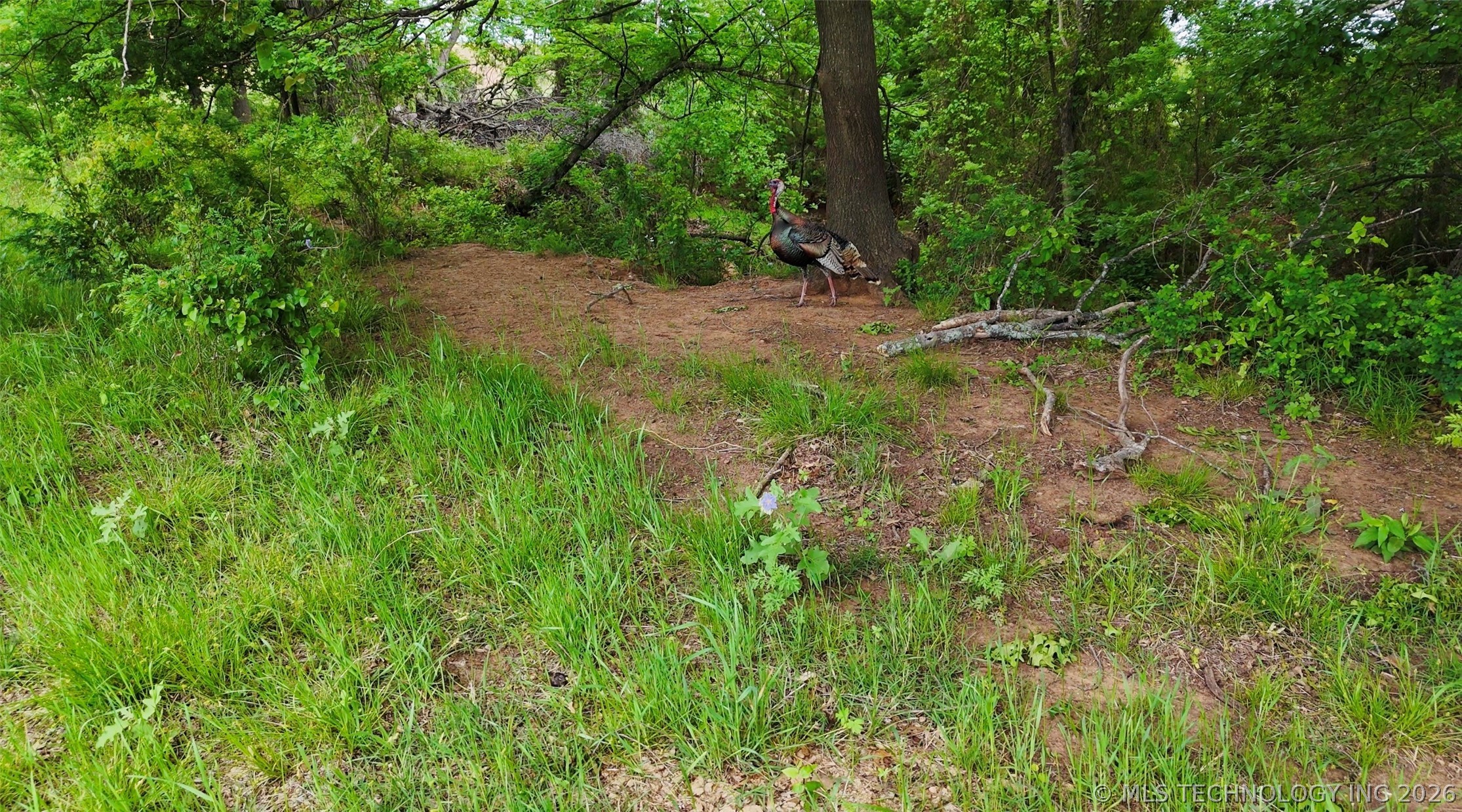 9123 Midway Property Photo 6