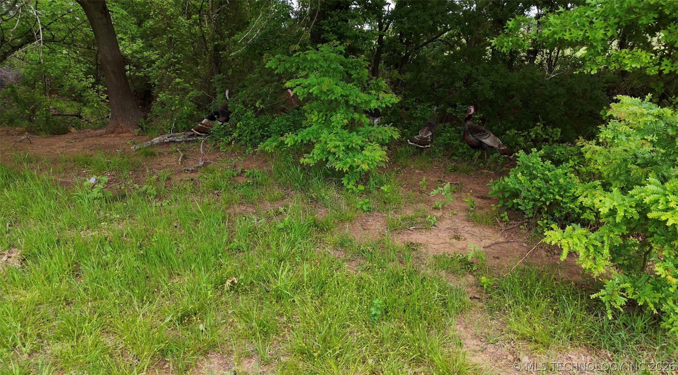 9123 Midway Property Photo 7