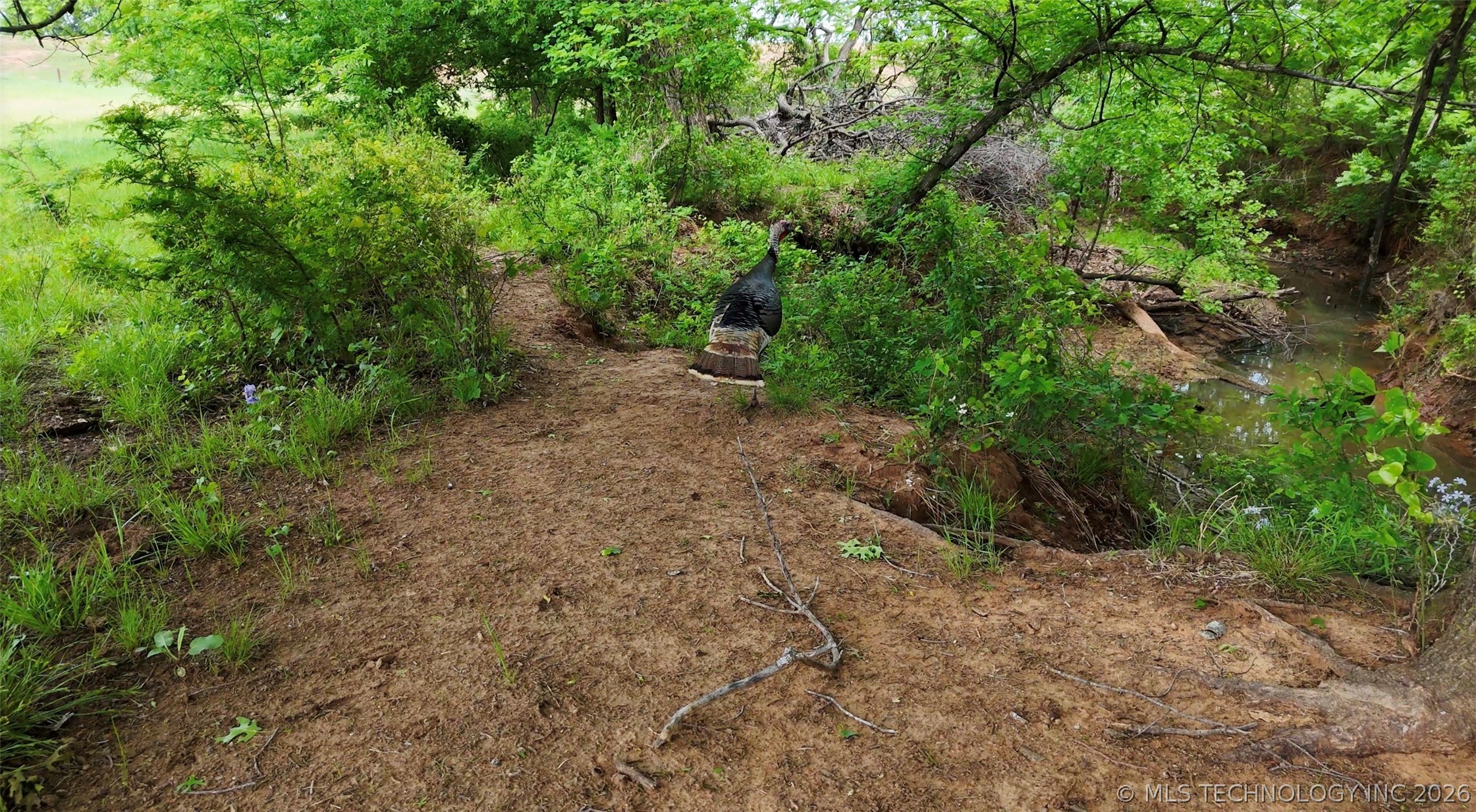 9123 Midway Property Photo 12