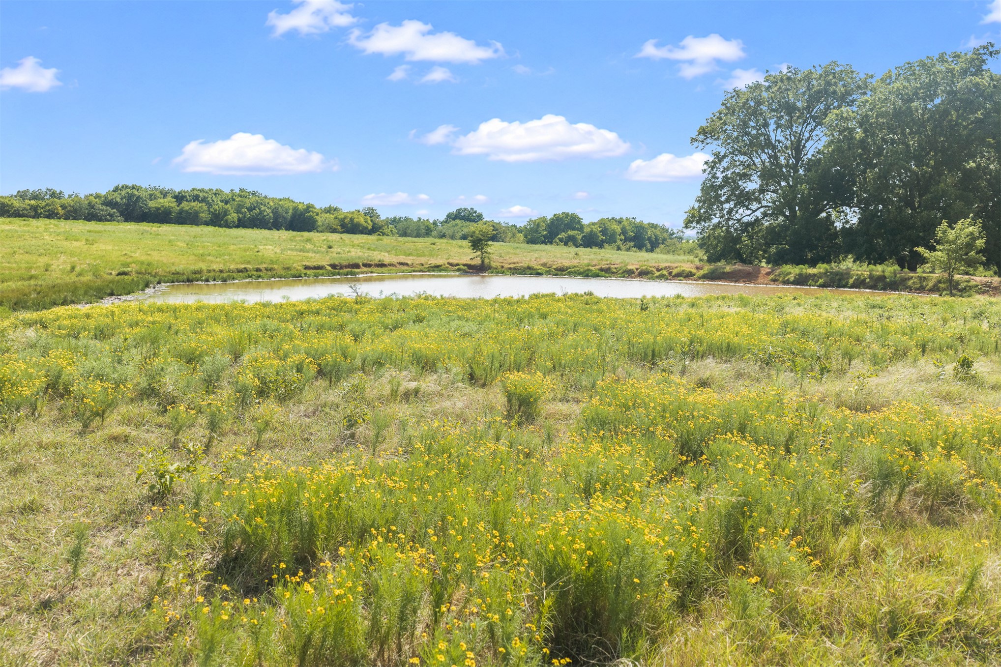 8361 Midway Property Photo 8