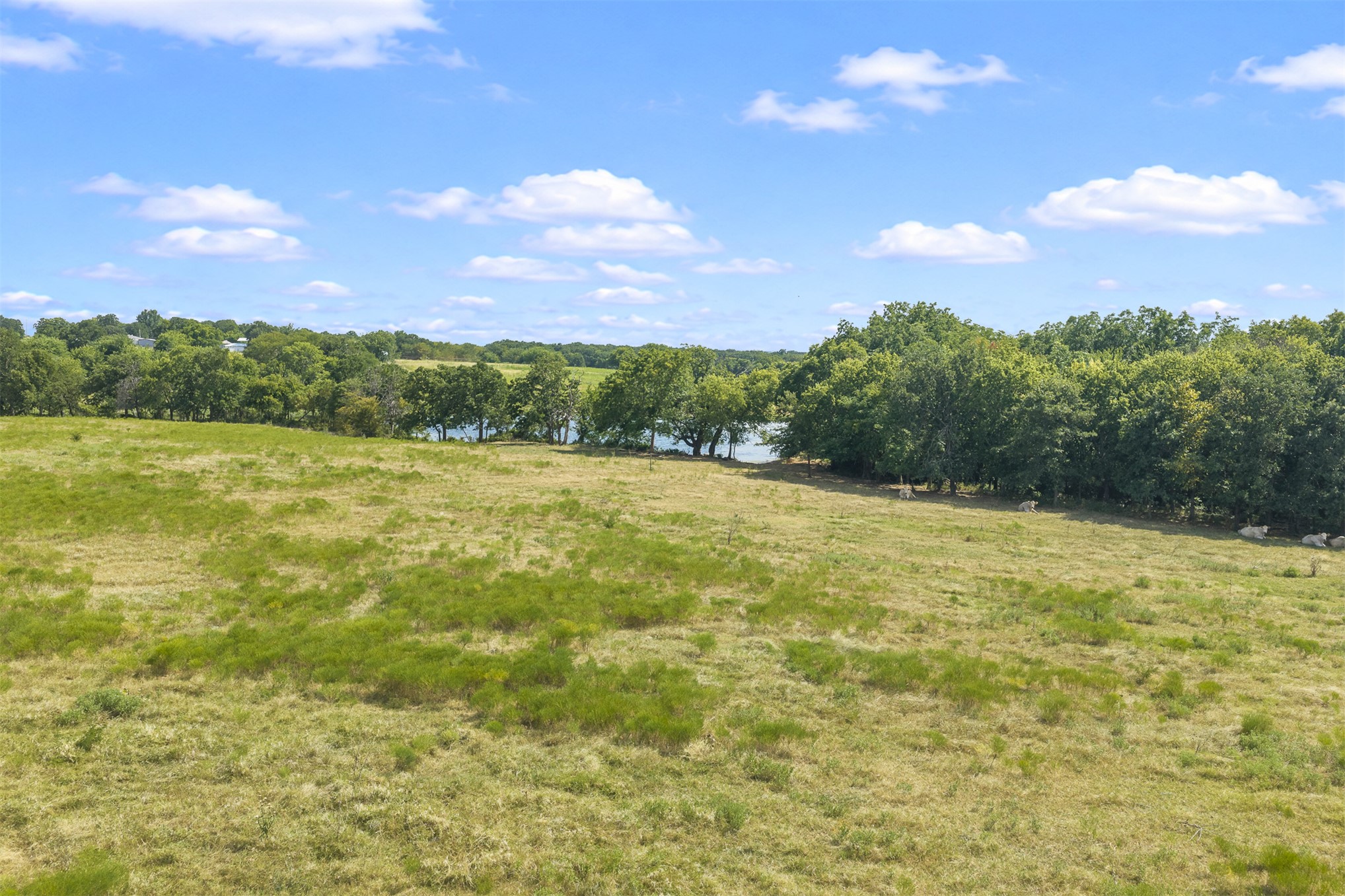 8361 Midway Property Photo 13