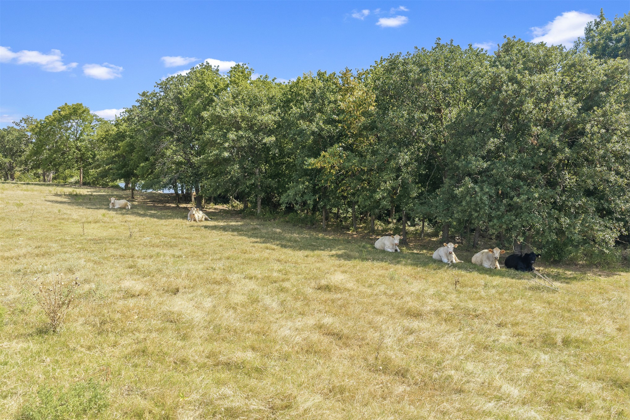 8361 Midway Property Photo 14