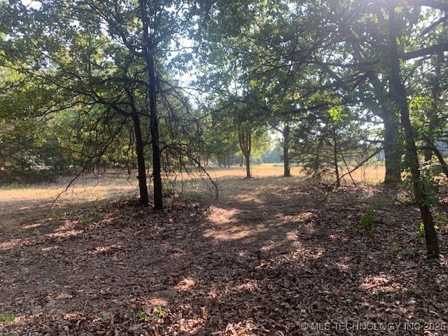 6 Eagle Ridge Road Property Photo 11