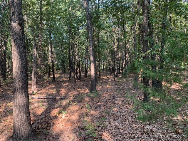 7 Eagle Ridge Road Property Photo 6