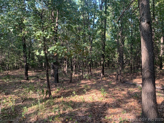 7 Eagle Ridge Road Property Photo 13
