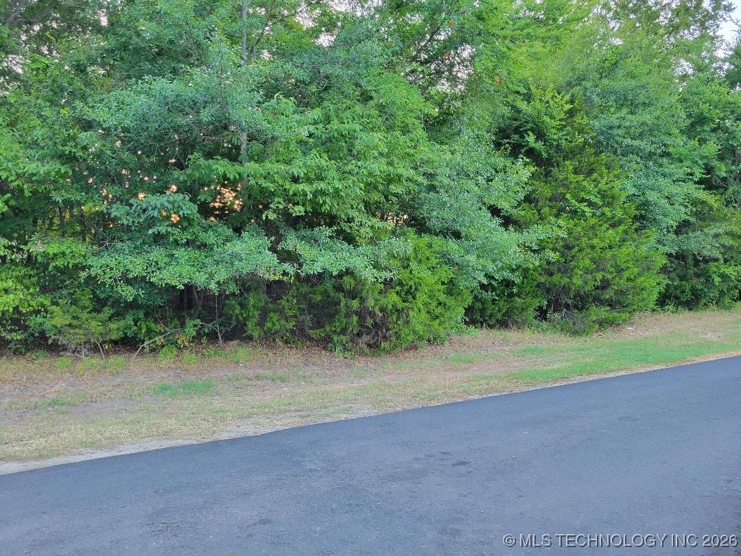 Hummingbird Lane Property Photo 4