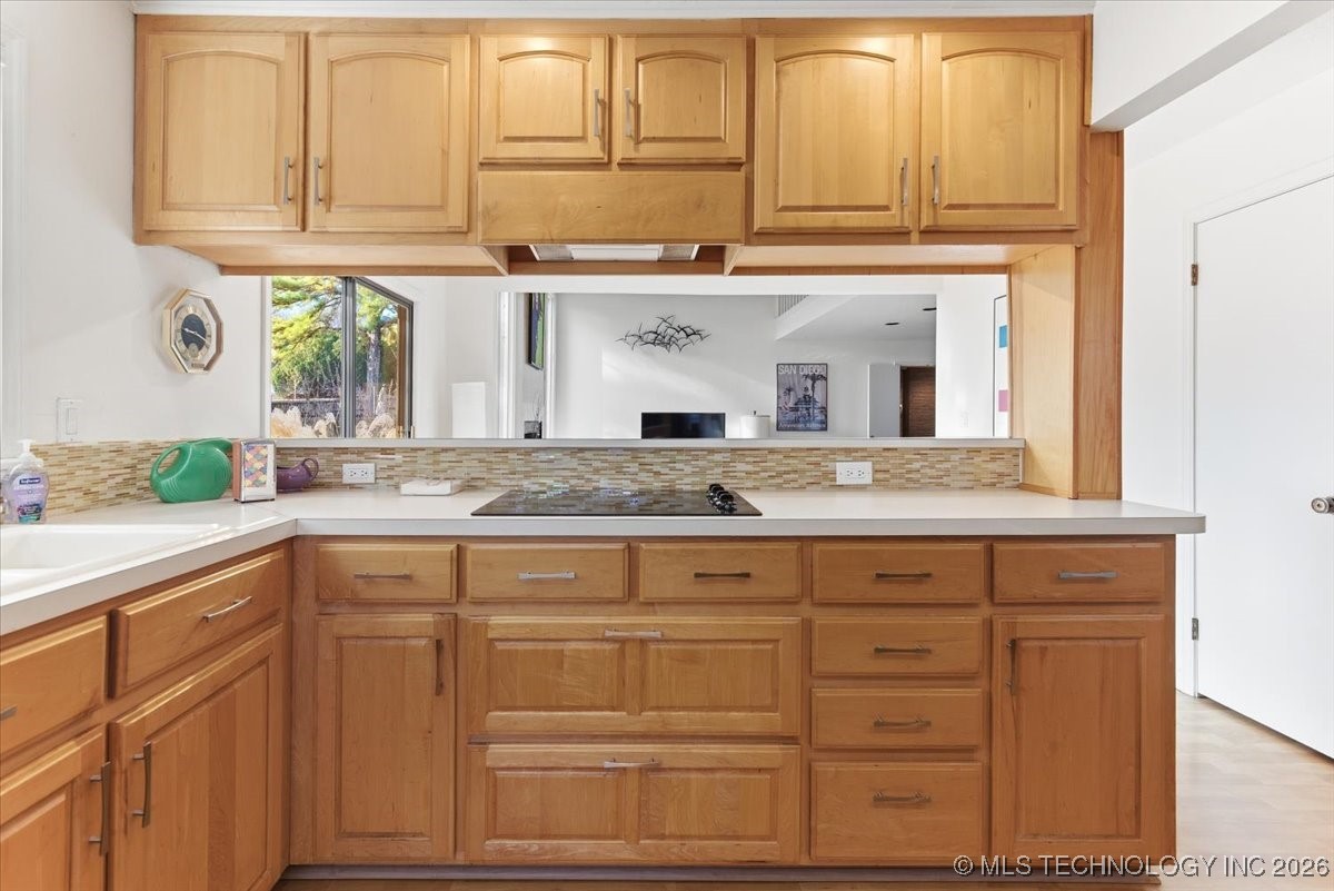 10137 S Marion Avenue Property Photo 10