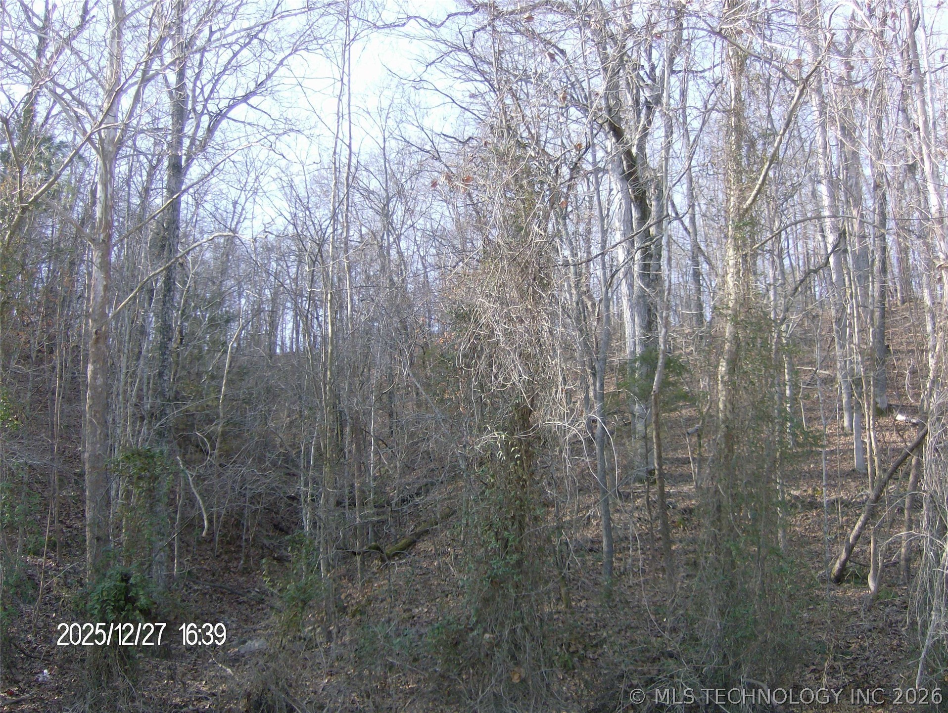 19945 E 720 Road Property Photo 3