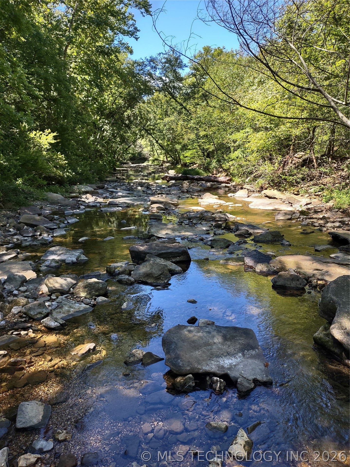 Kirk Mountain Property Photo 1