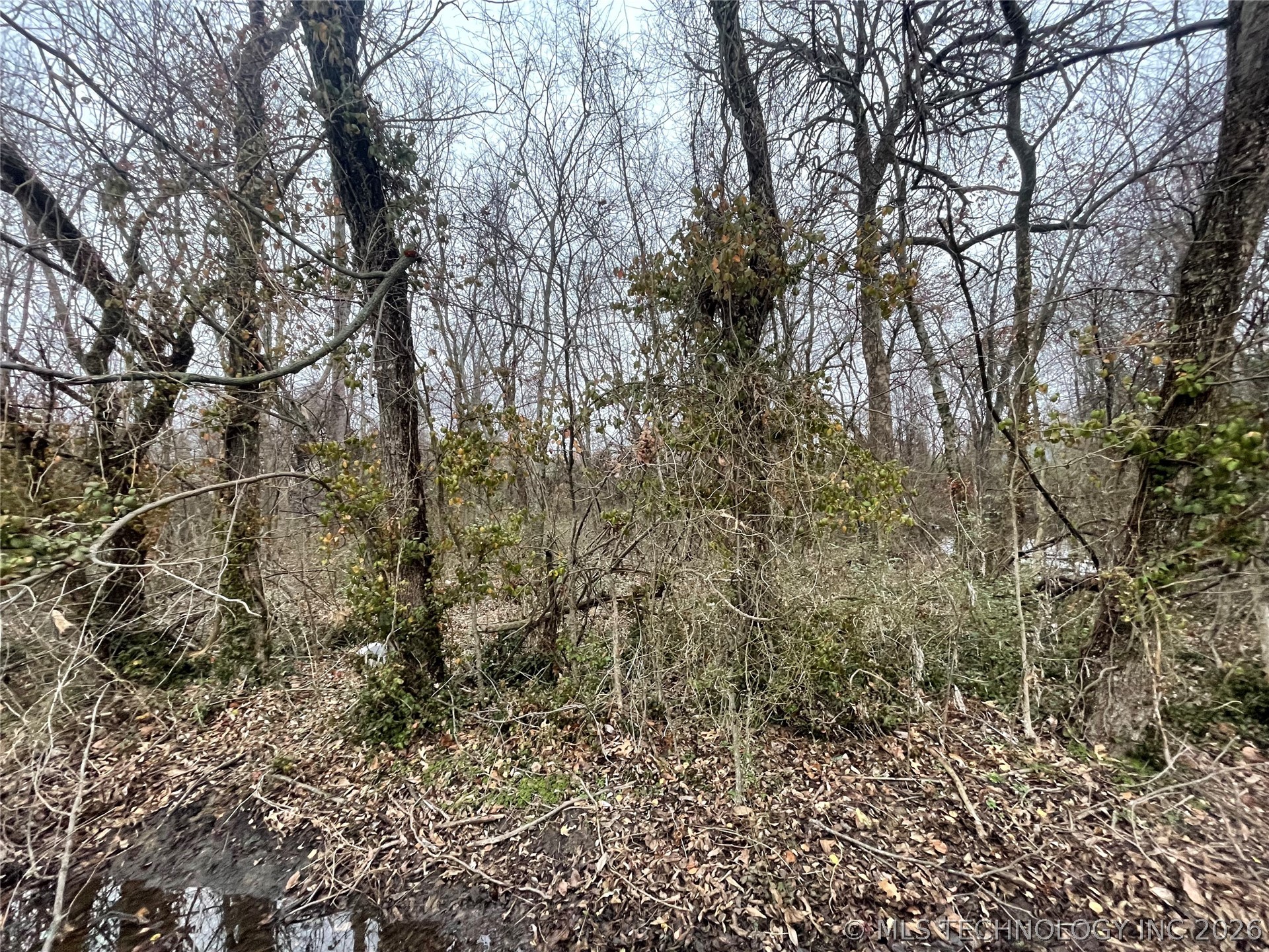 23rd Street Property Photo 8