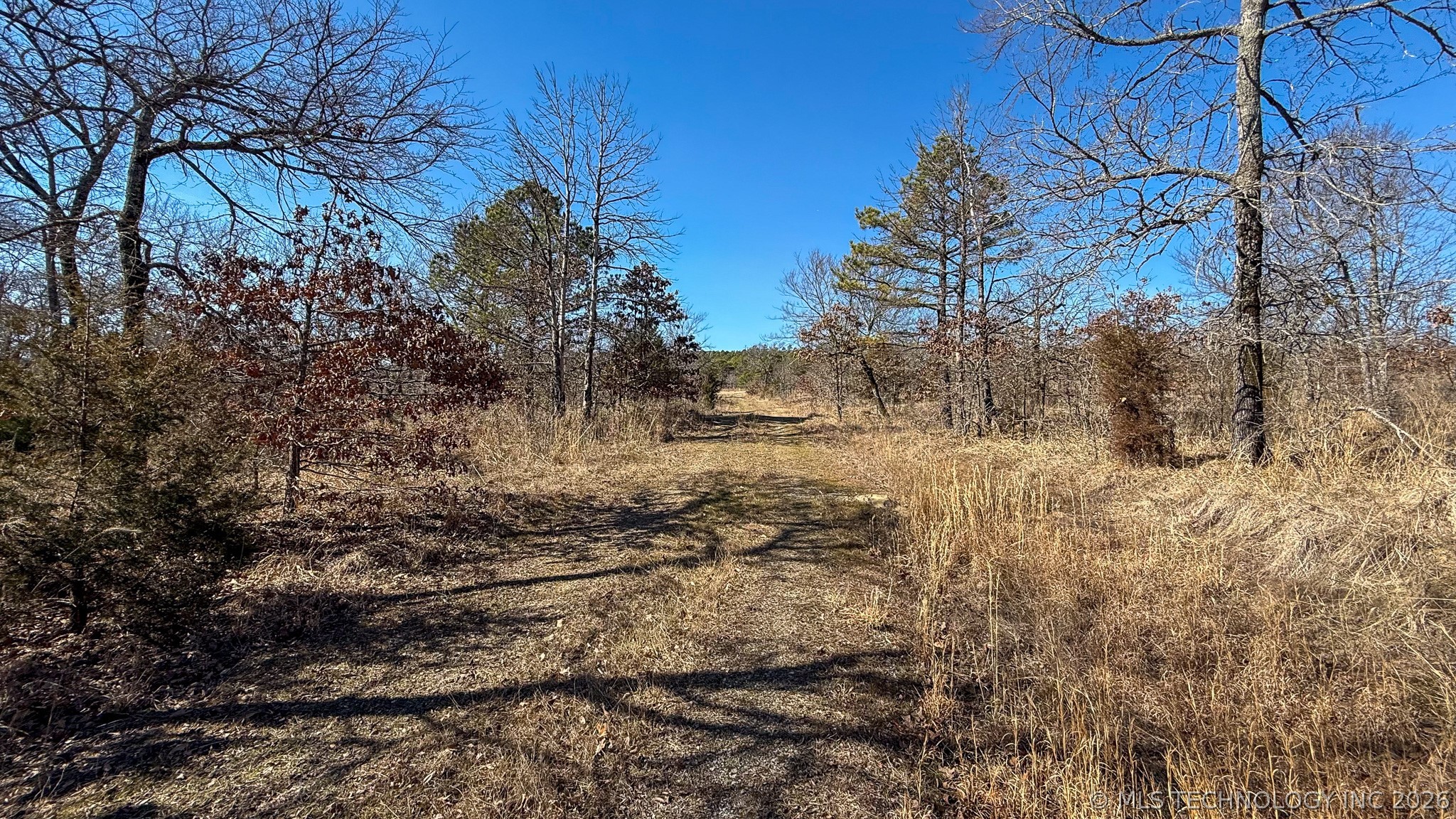 Burris Valley Road Property Photo 6
