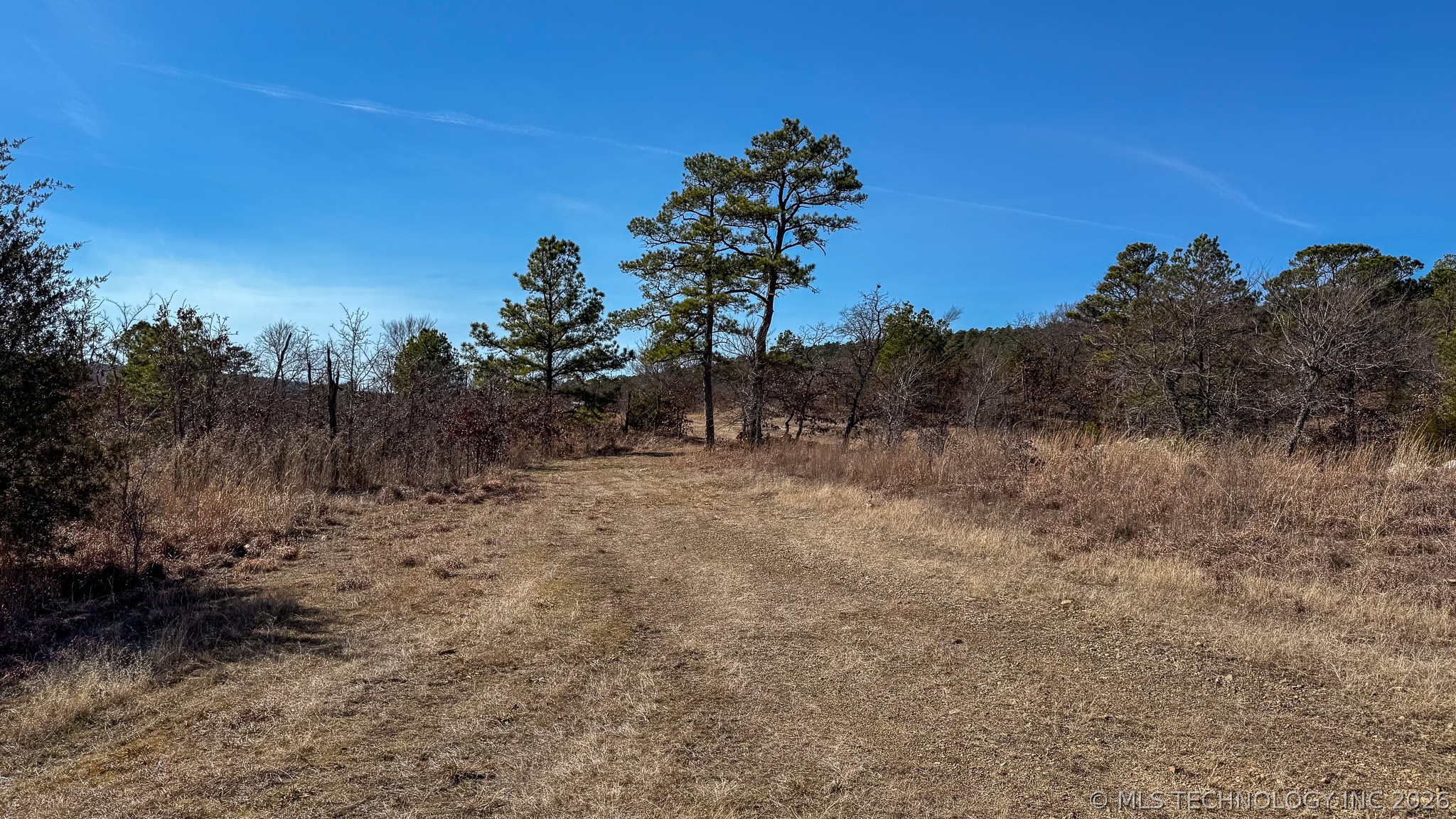 Burris Valley Road Property Photo 7