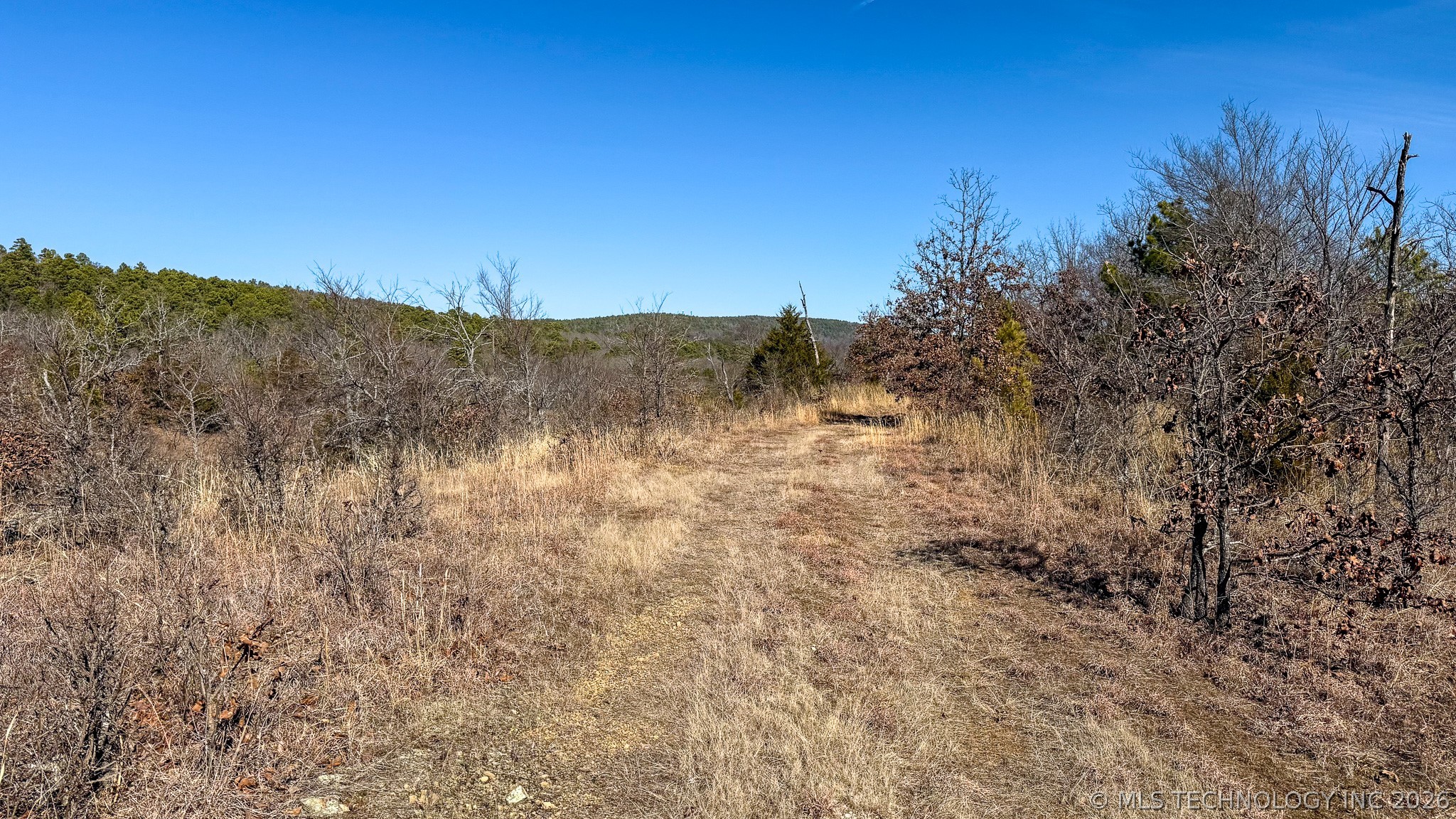 Burris Valley Road Property Photo 8