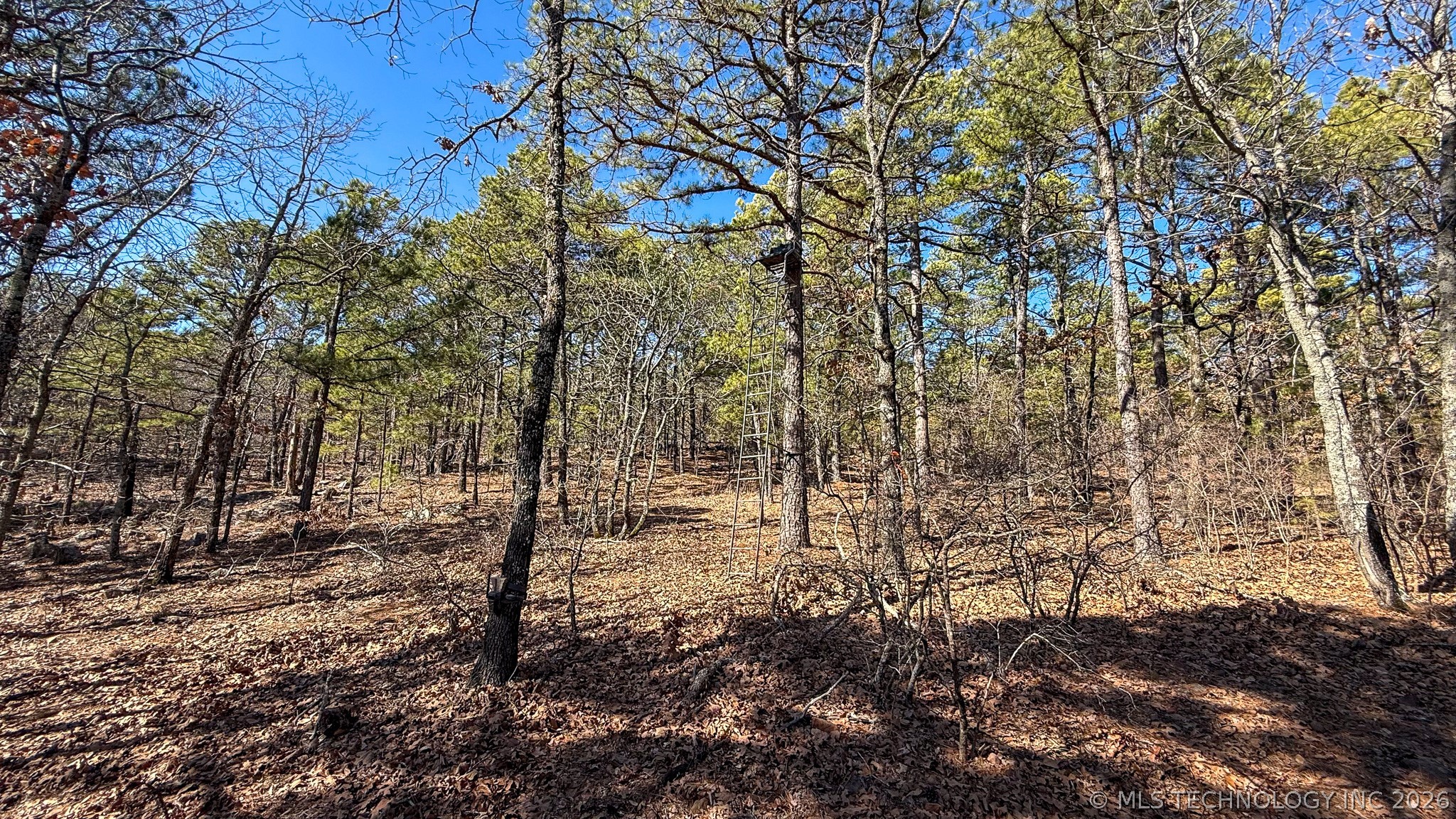 Burris Valley Road Property Photo 15