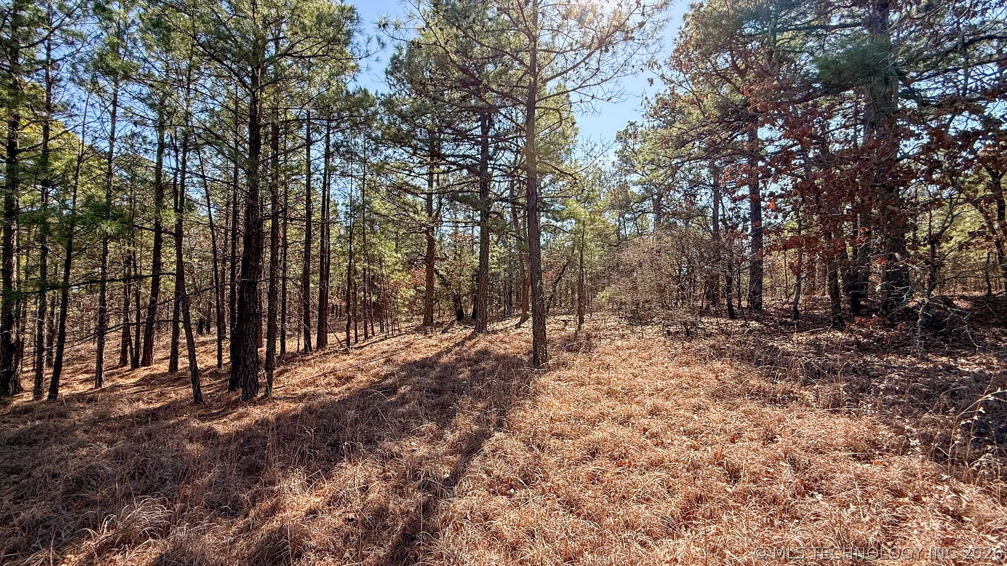 Burris Valley Road Property Photo 16