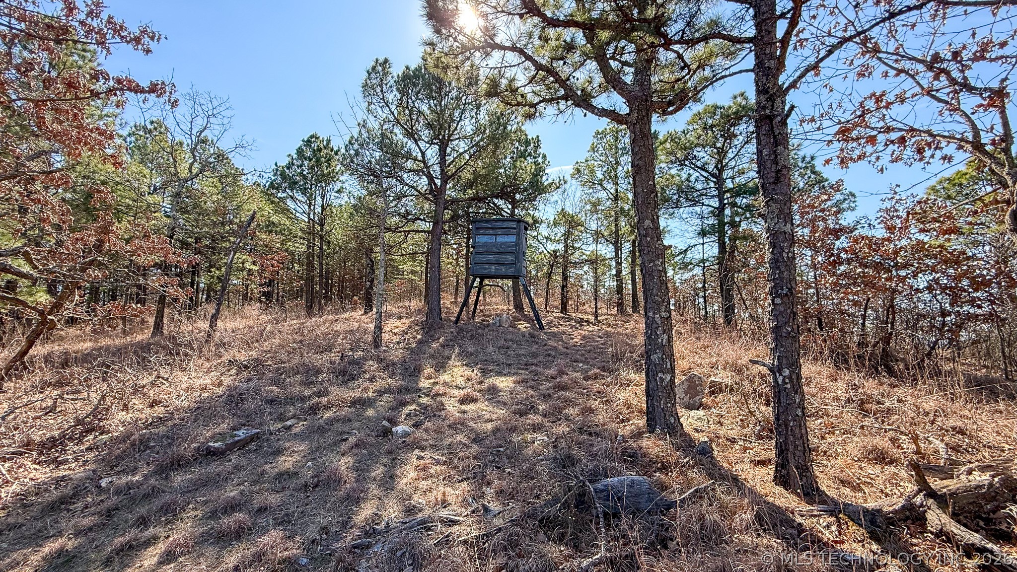 Burris Valley Road Property Photo 18