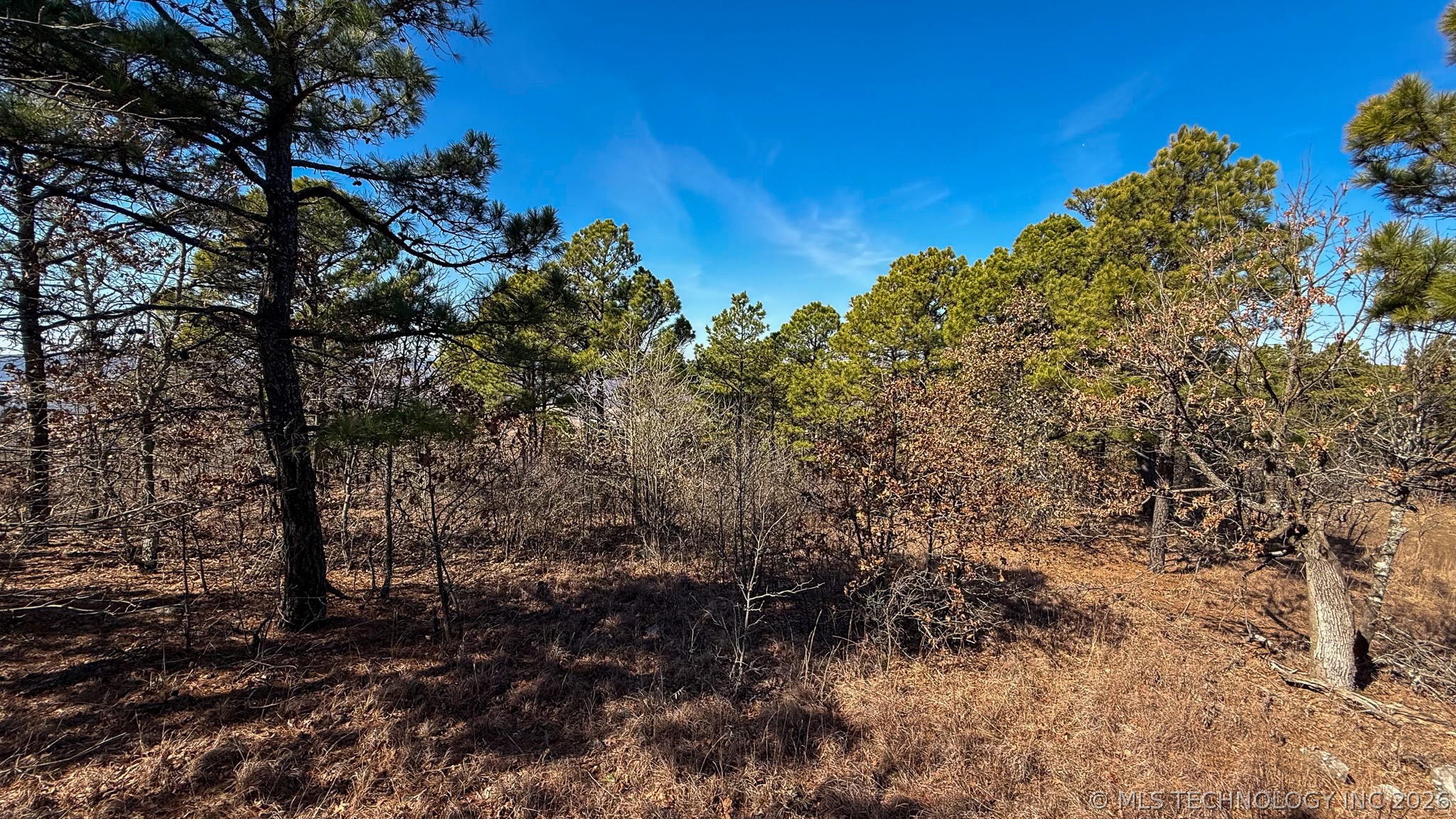 Burris Valley Road Property Photo 20