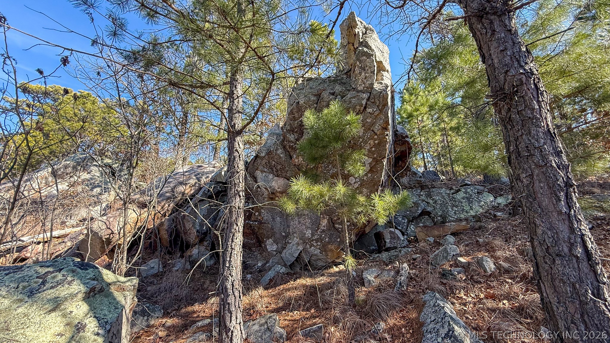 Burris Valley Road Property Photo 24