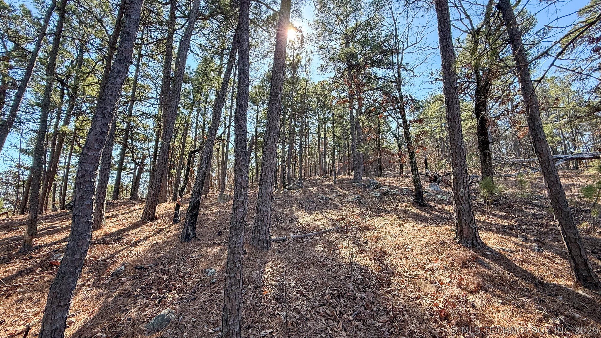 Burris Valley Road Property Photo 25