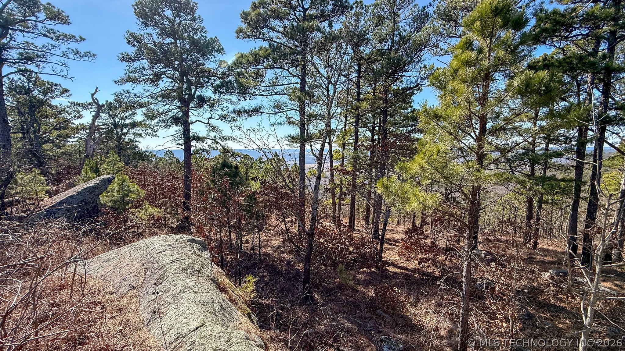 Burris Valley Road Property Photo 31