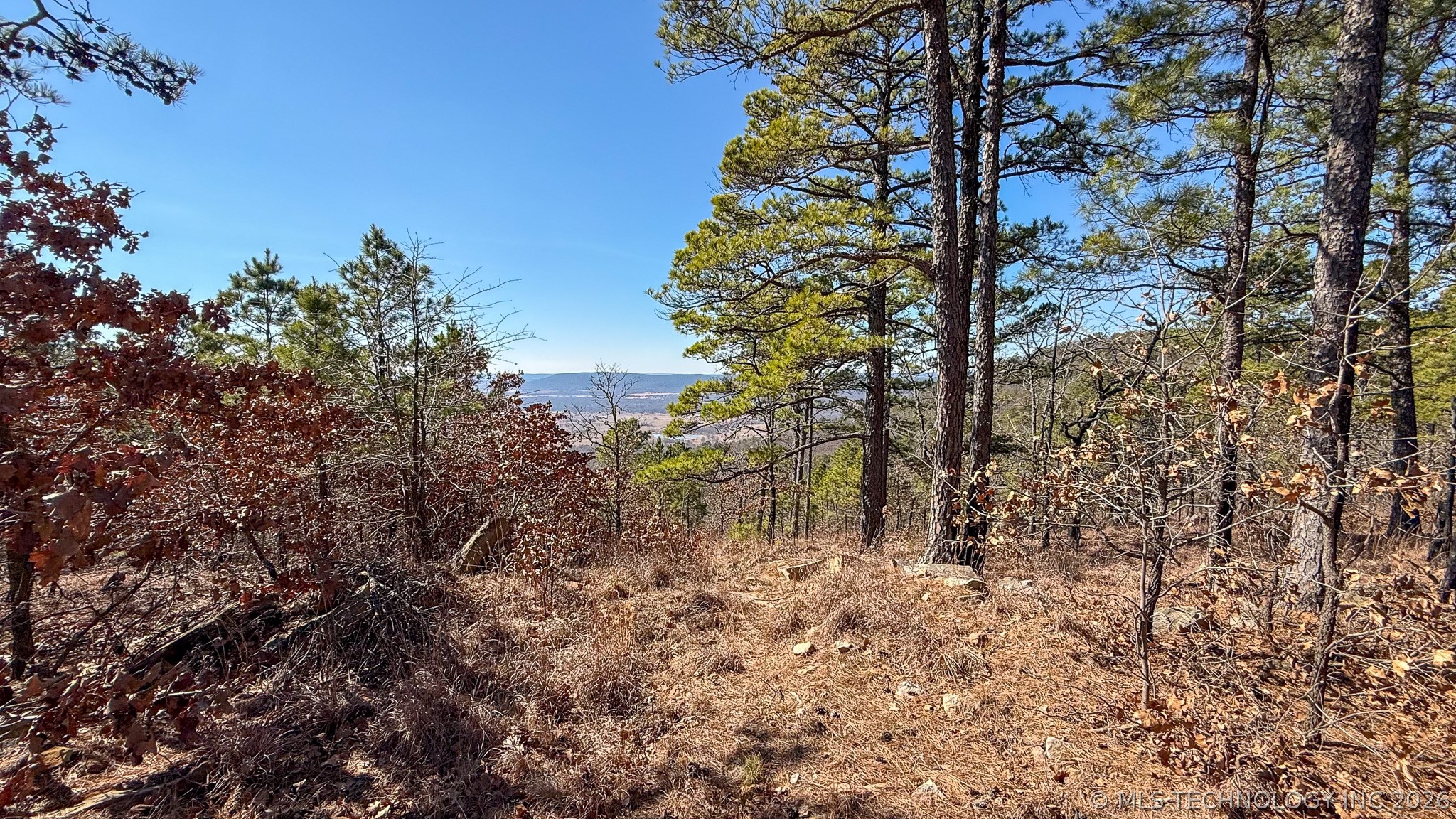Burris Valley Road Property Photo 35