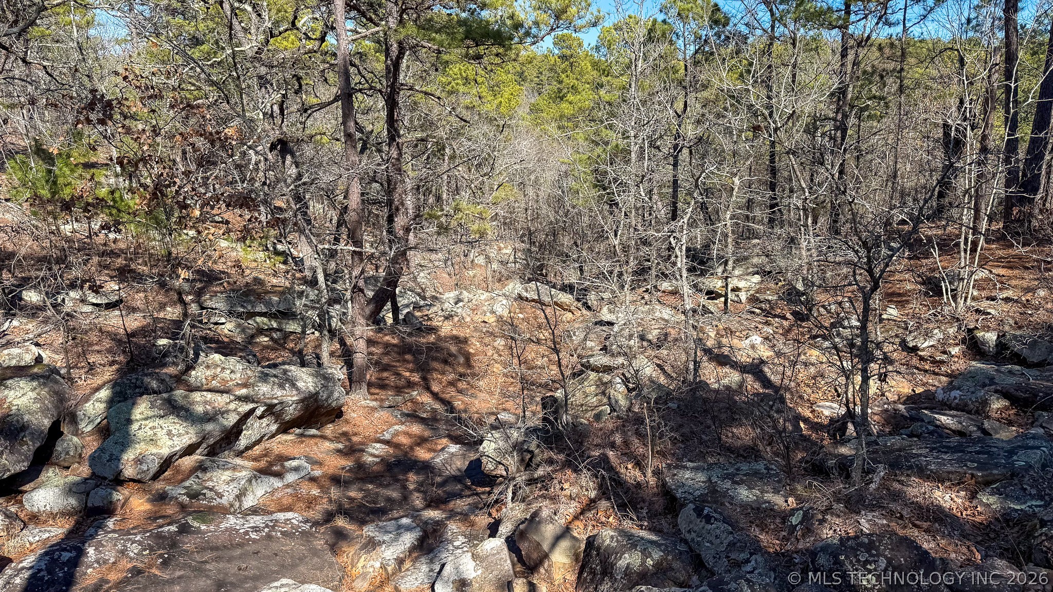 Burris Valley Road Property Photo 38