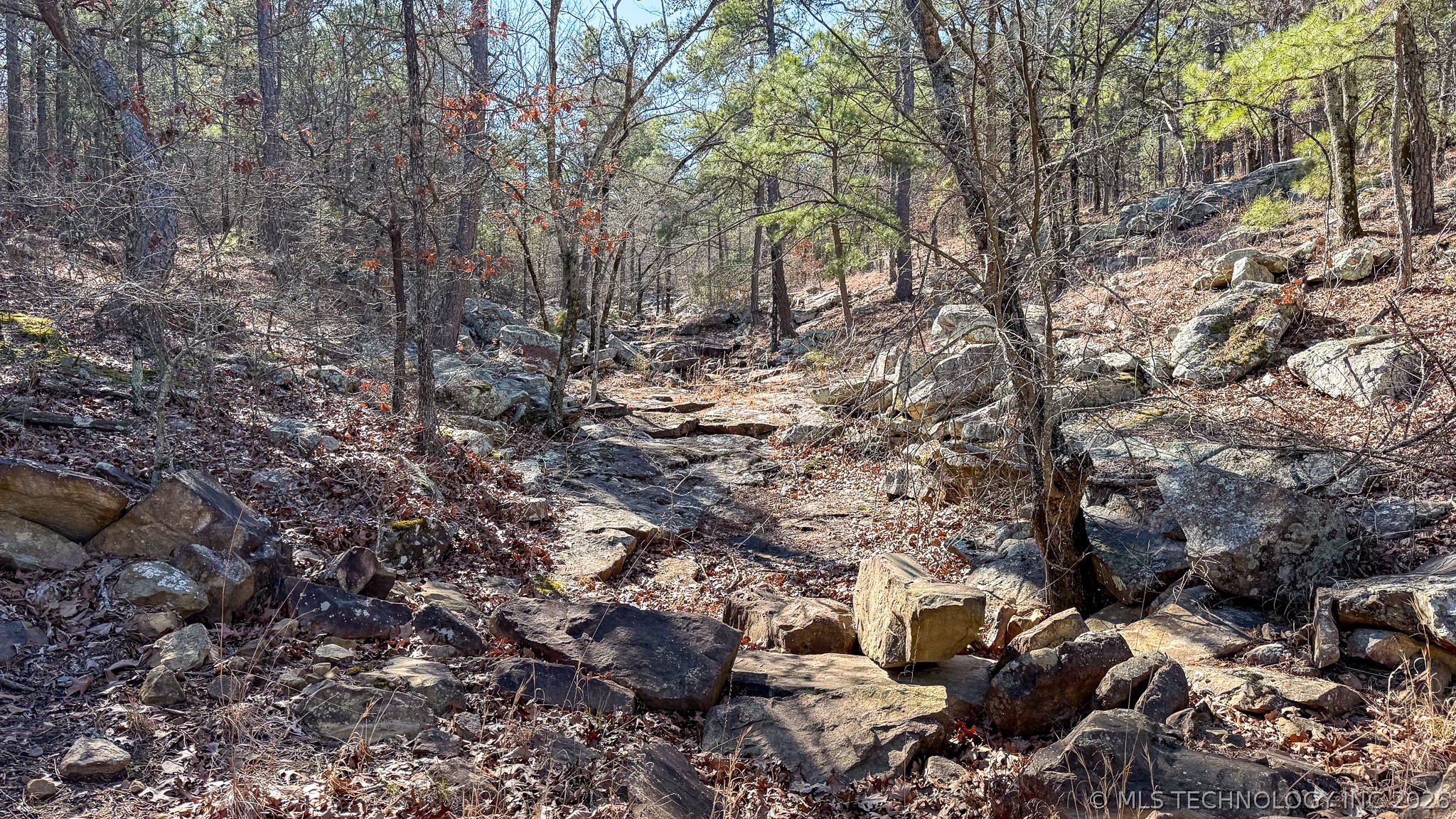 Burris Valley Road Property Photo 39