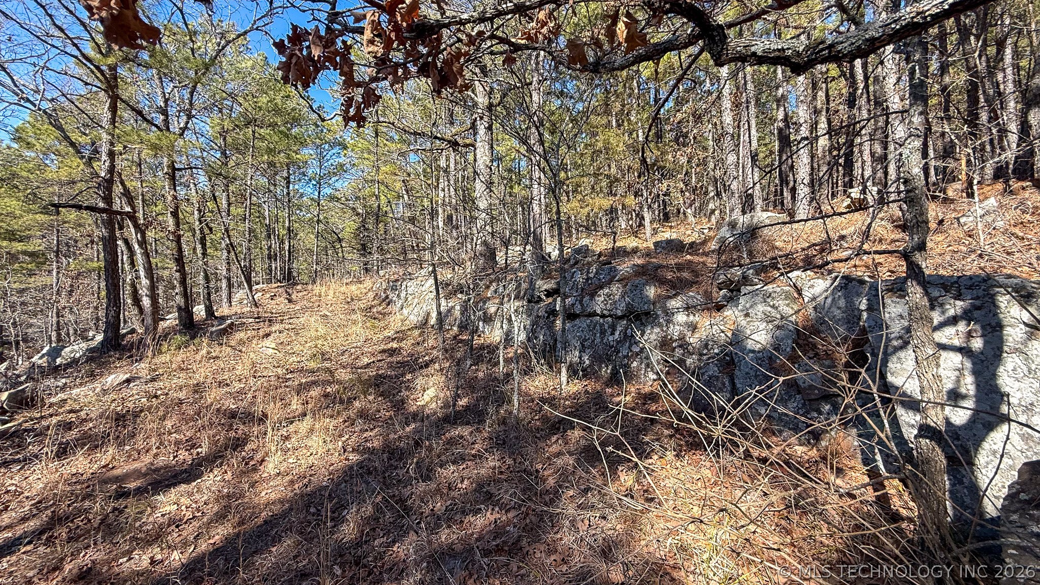 Burris Valley Road Property Photo 46
