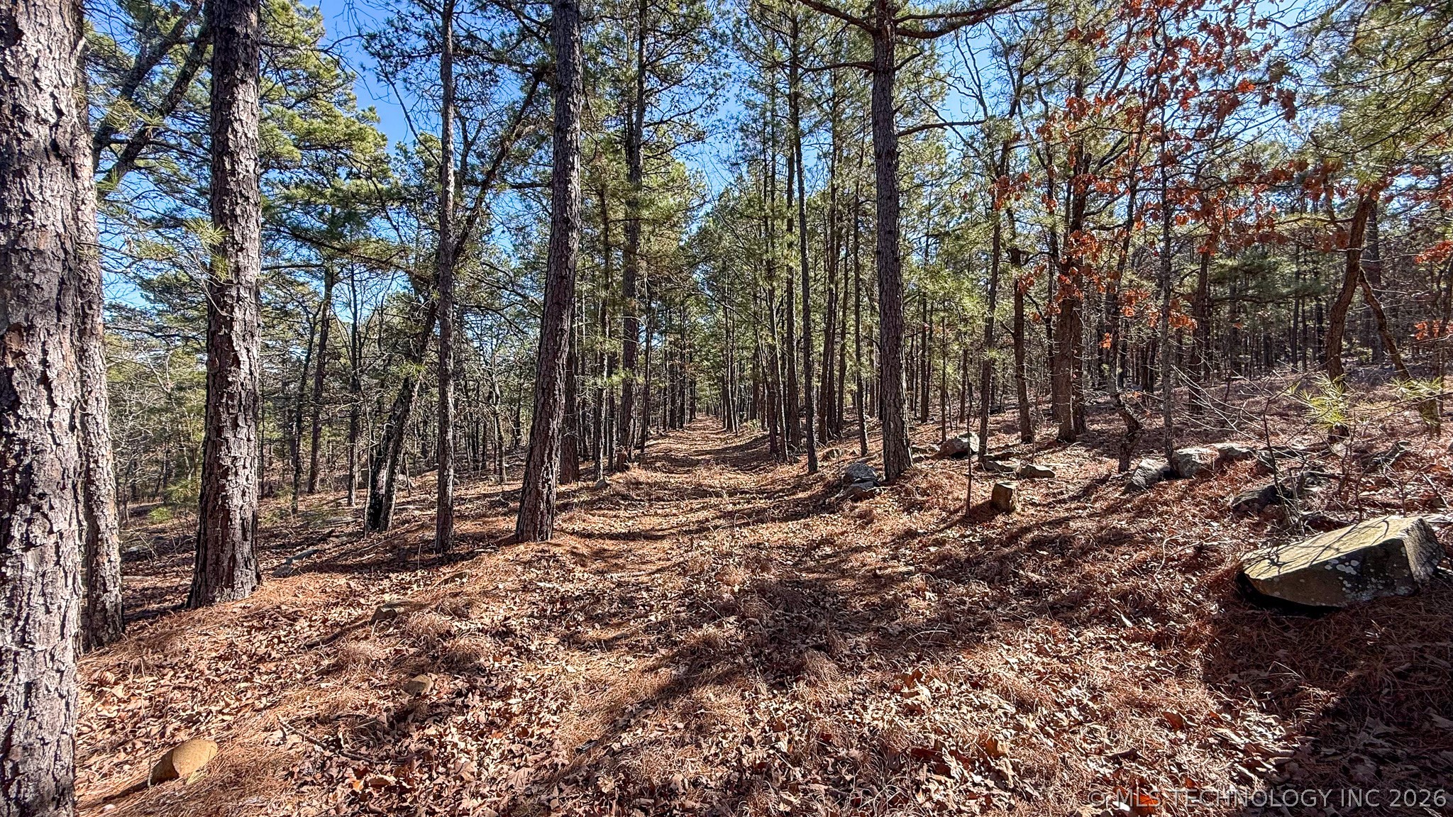 Burris Valley Road Property Photo 59