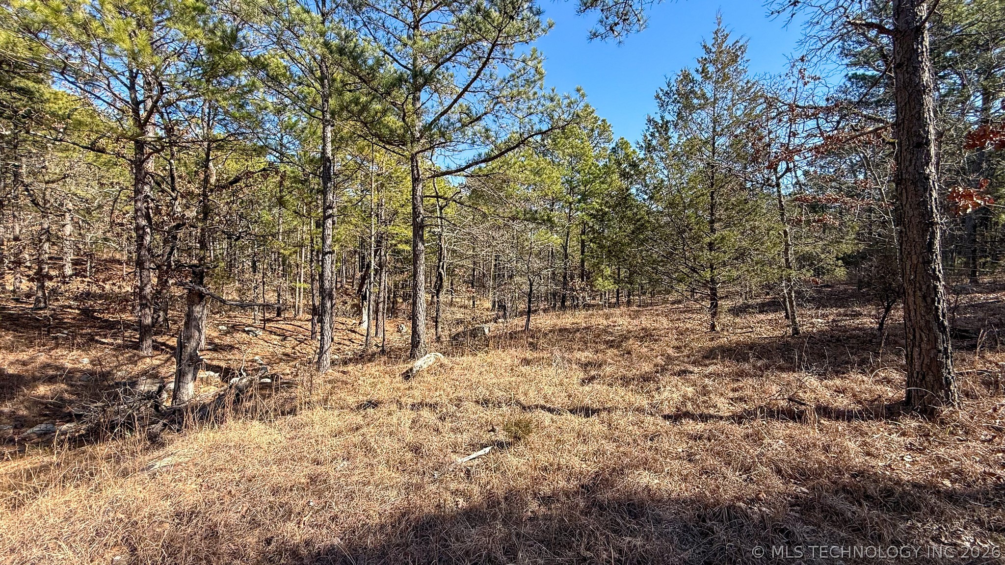 Burris Valley Road Property Photo 60
