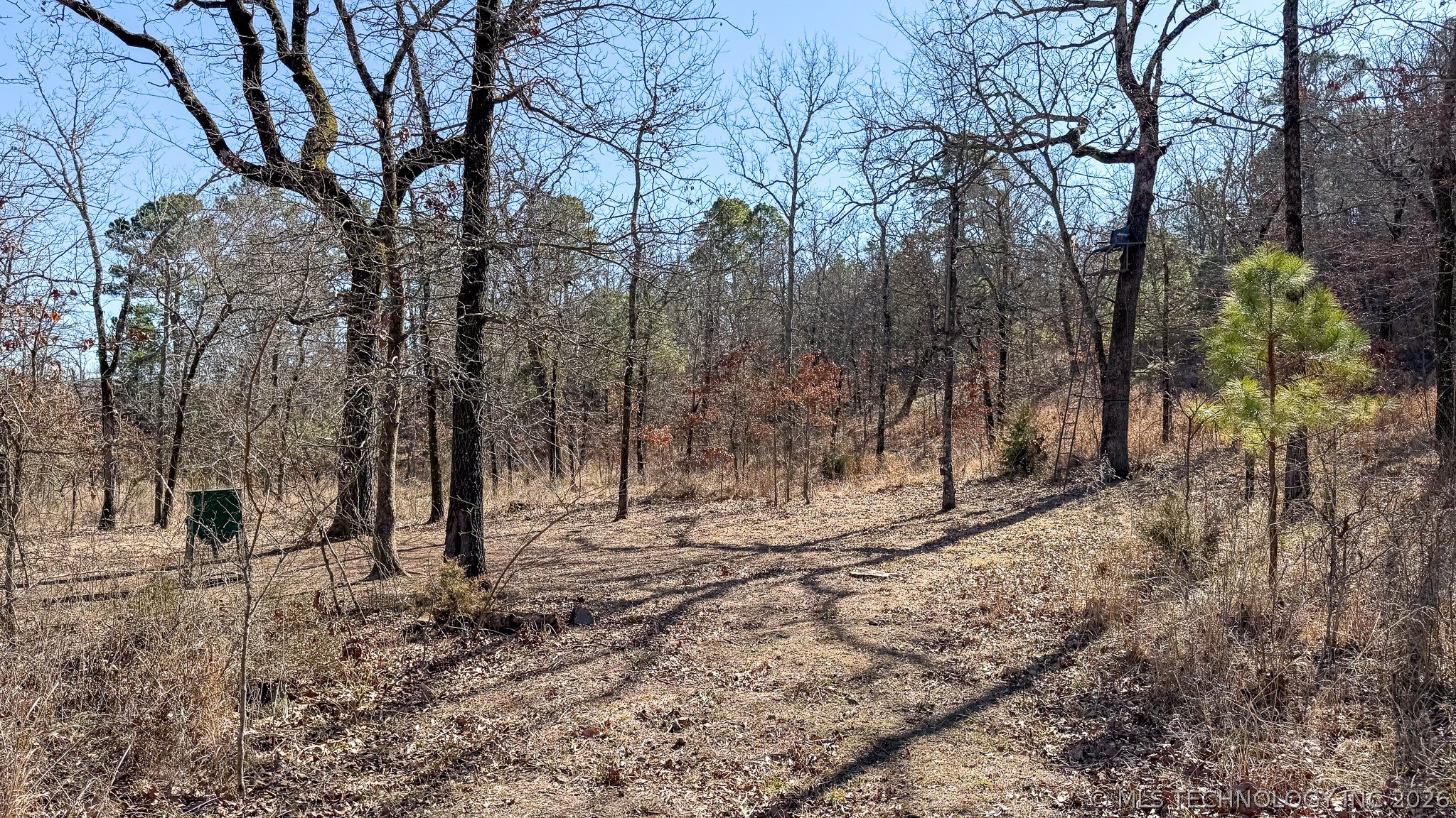 Burris Valley Road Property Photo 65