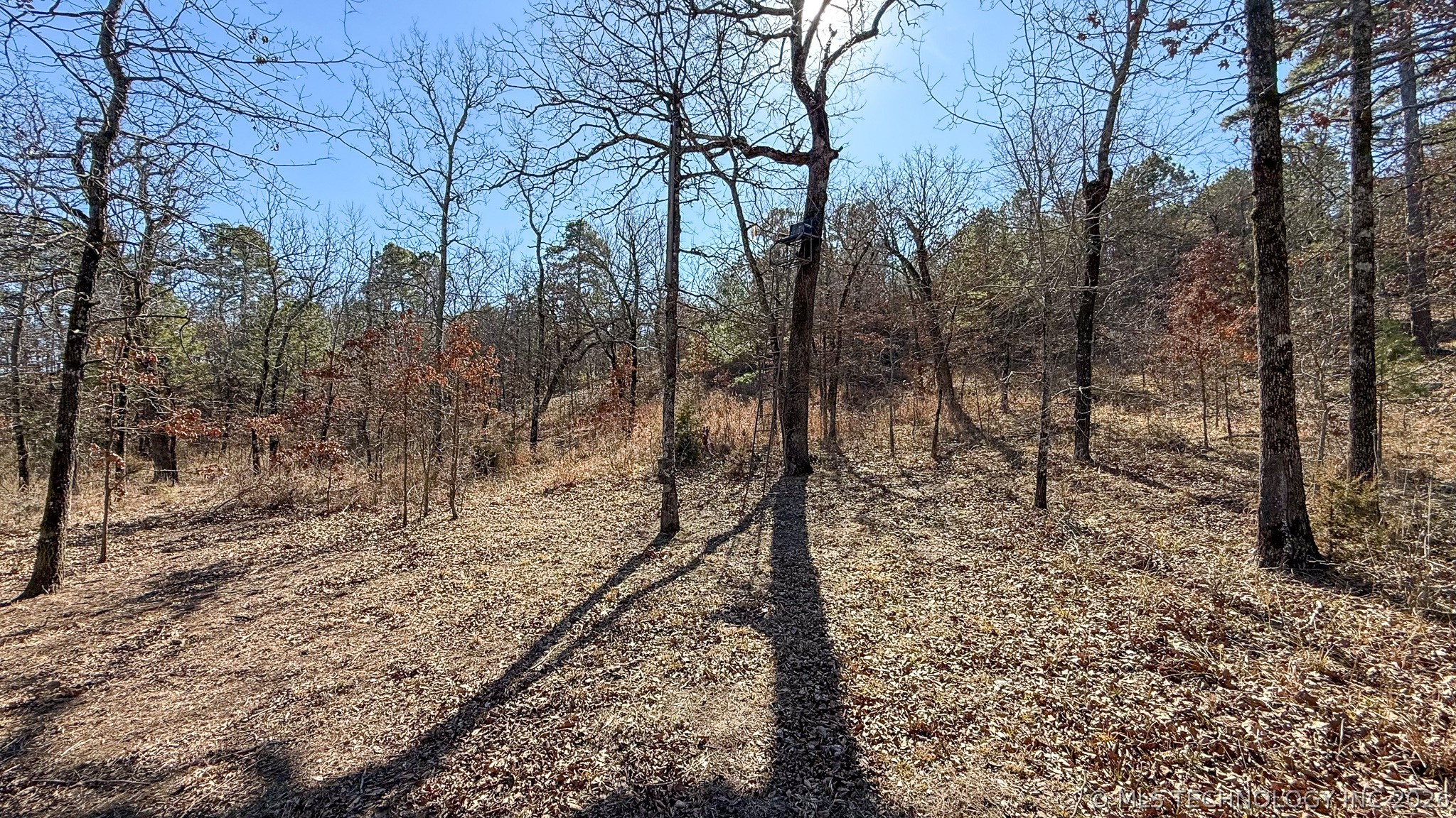 Burris Valley Road Property Photo 66