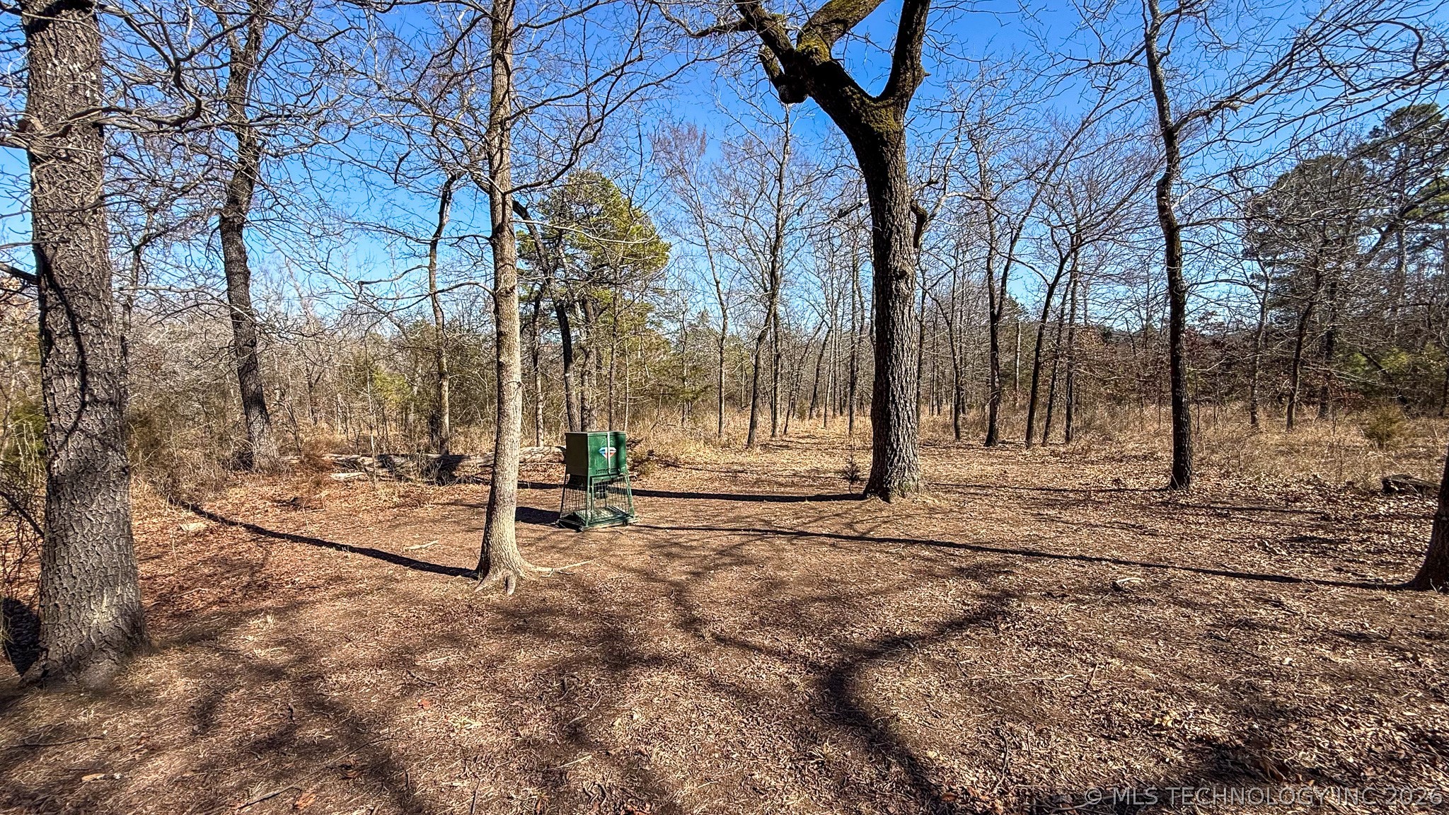 Burris Valley Road Property Photo 67
