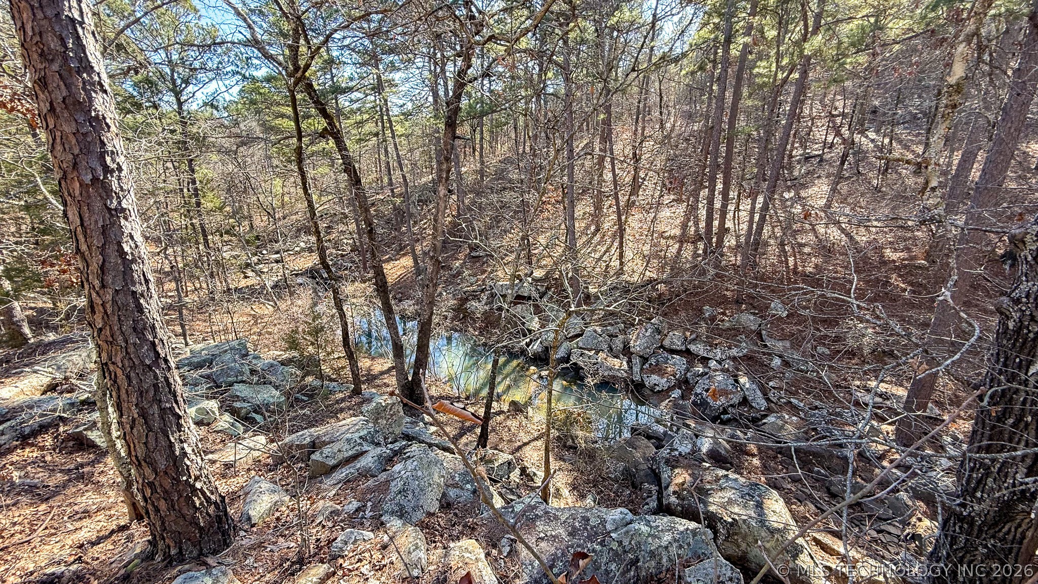 Burris Valley Road Property Photo 70