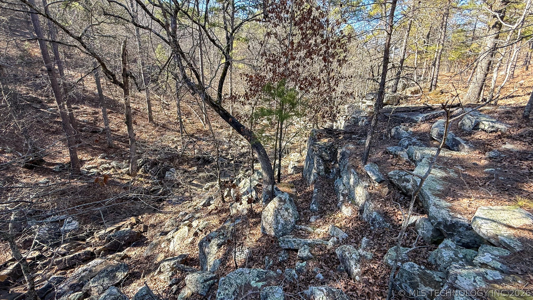 Burris Valley Road Property Photo 71