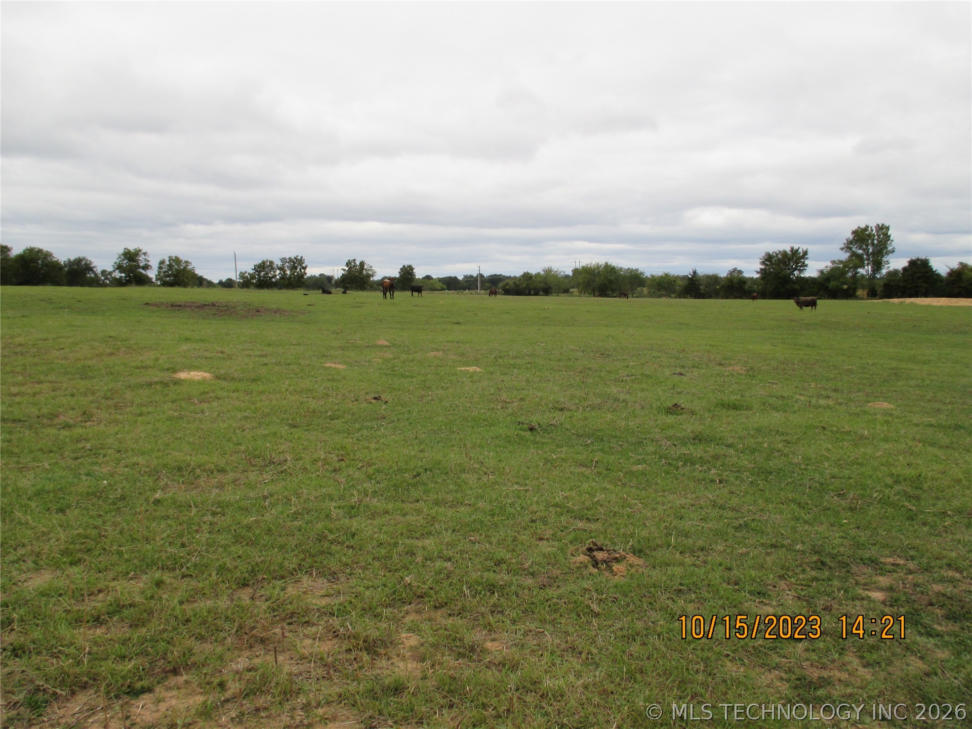 2905 E 2110 Property Photo 64