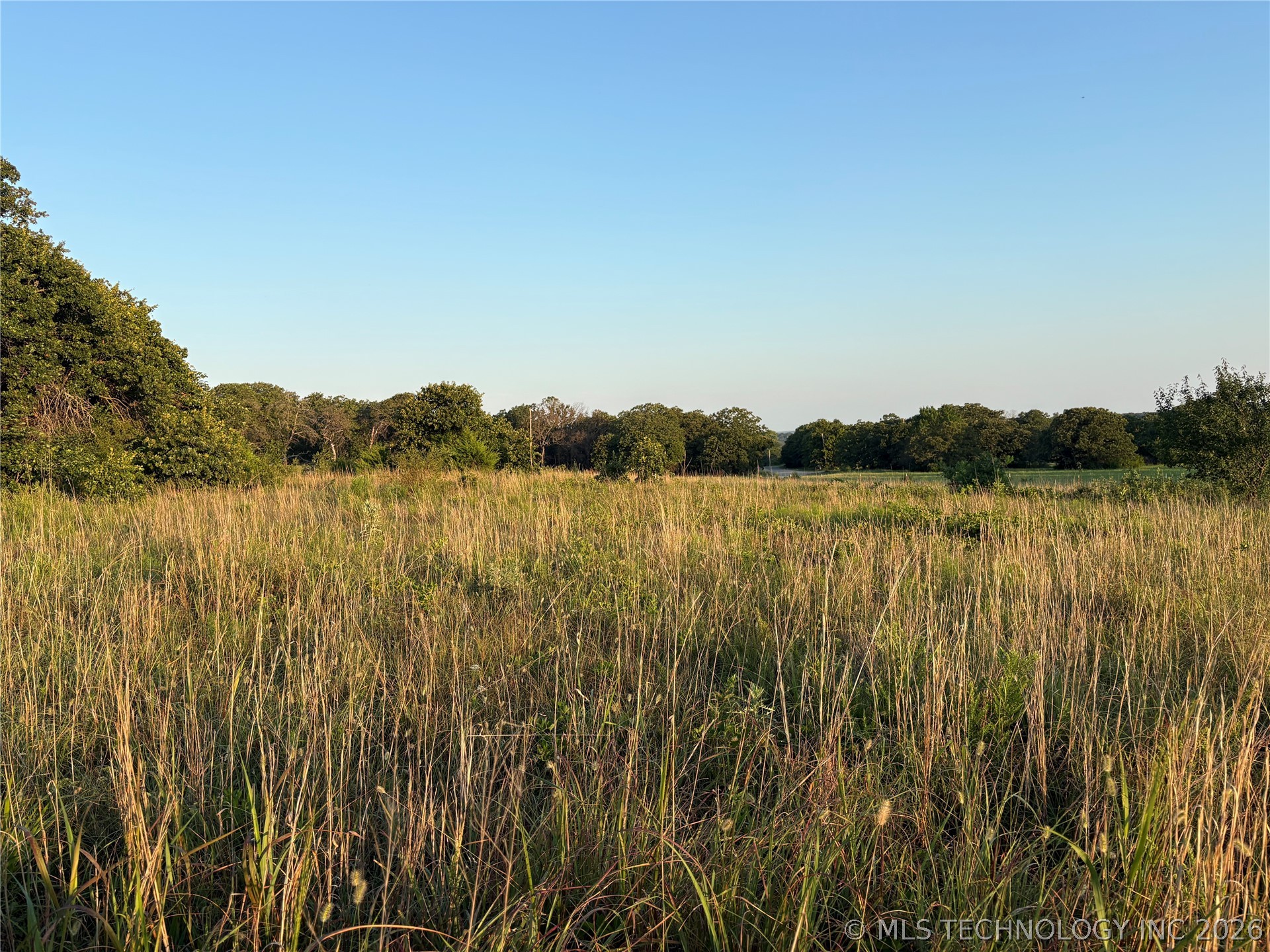 0 County Road 4151 Property Photo 6