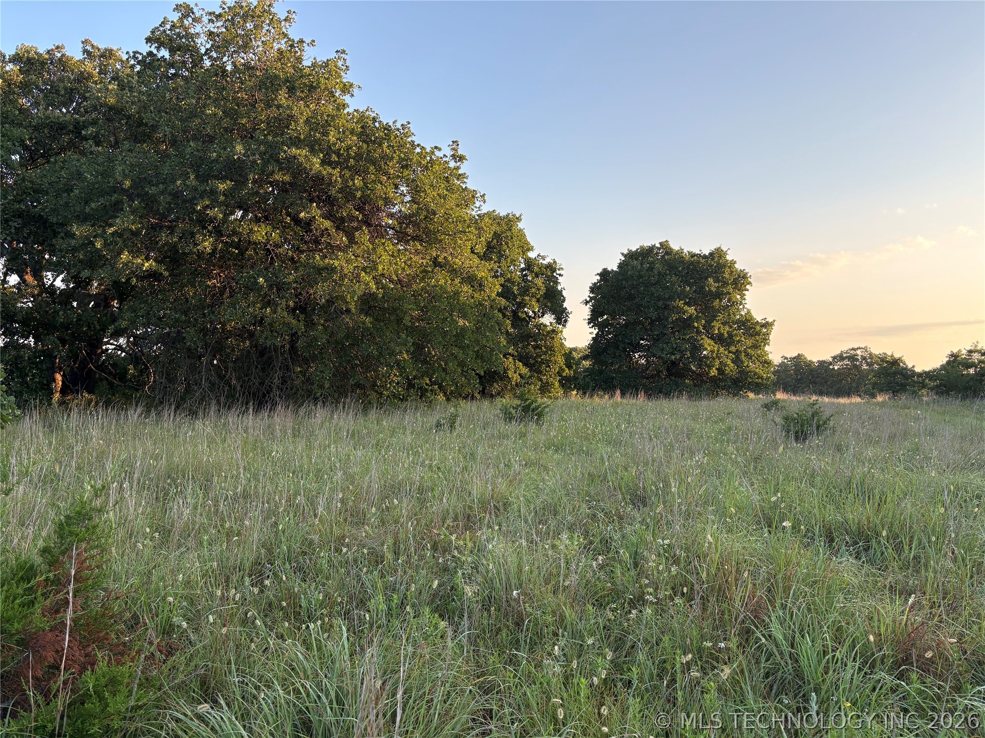 0 County Road 4151 Property Photo 10