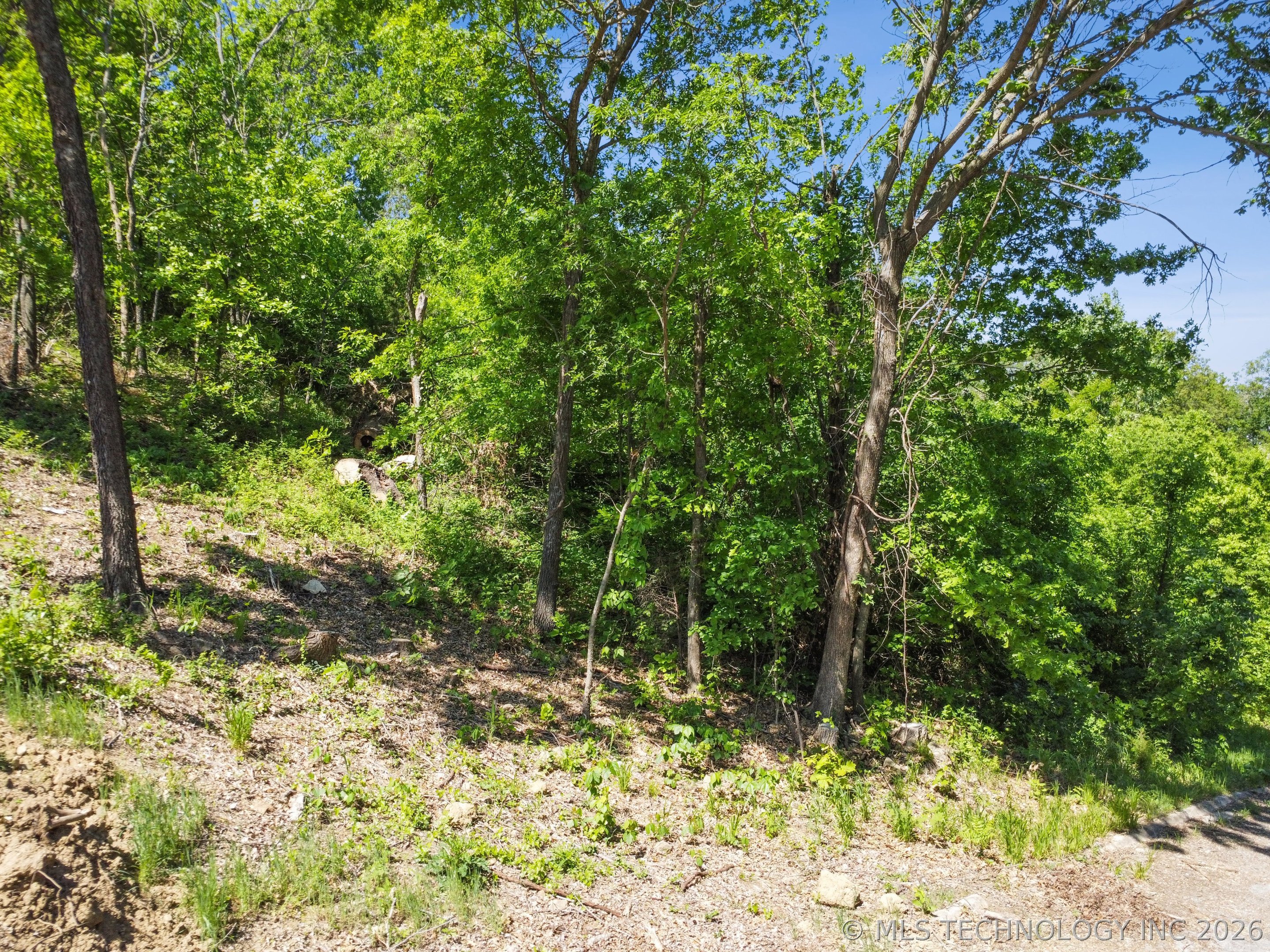 Hickory Lane Property Photo 11